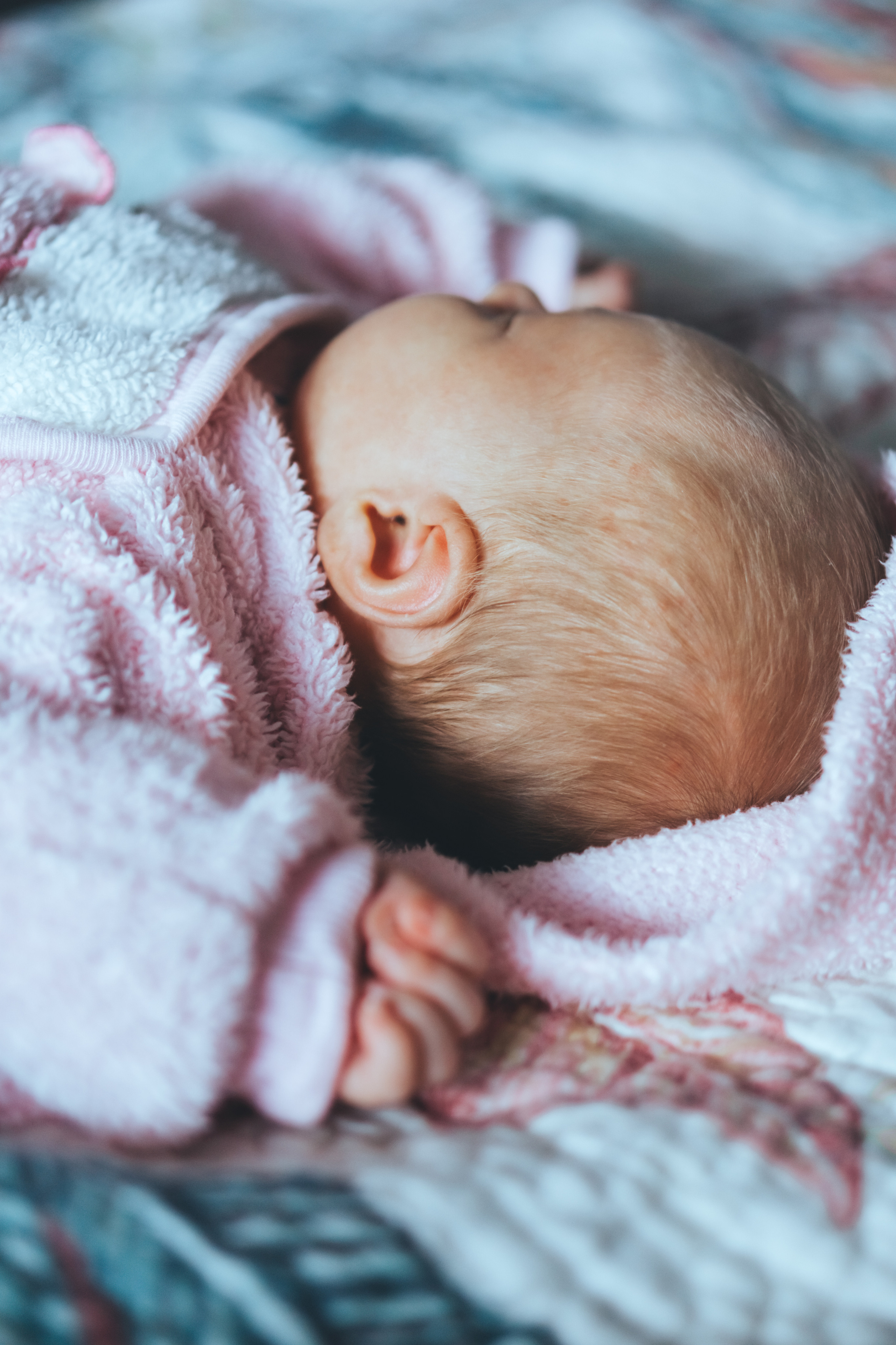 ◦ Arina ◦. Фотограф