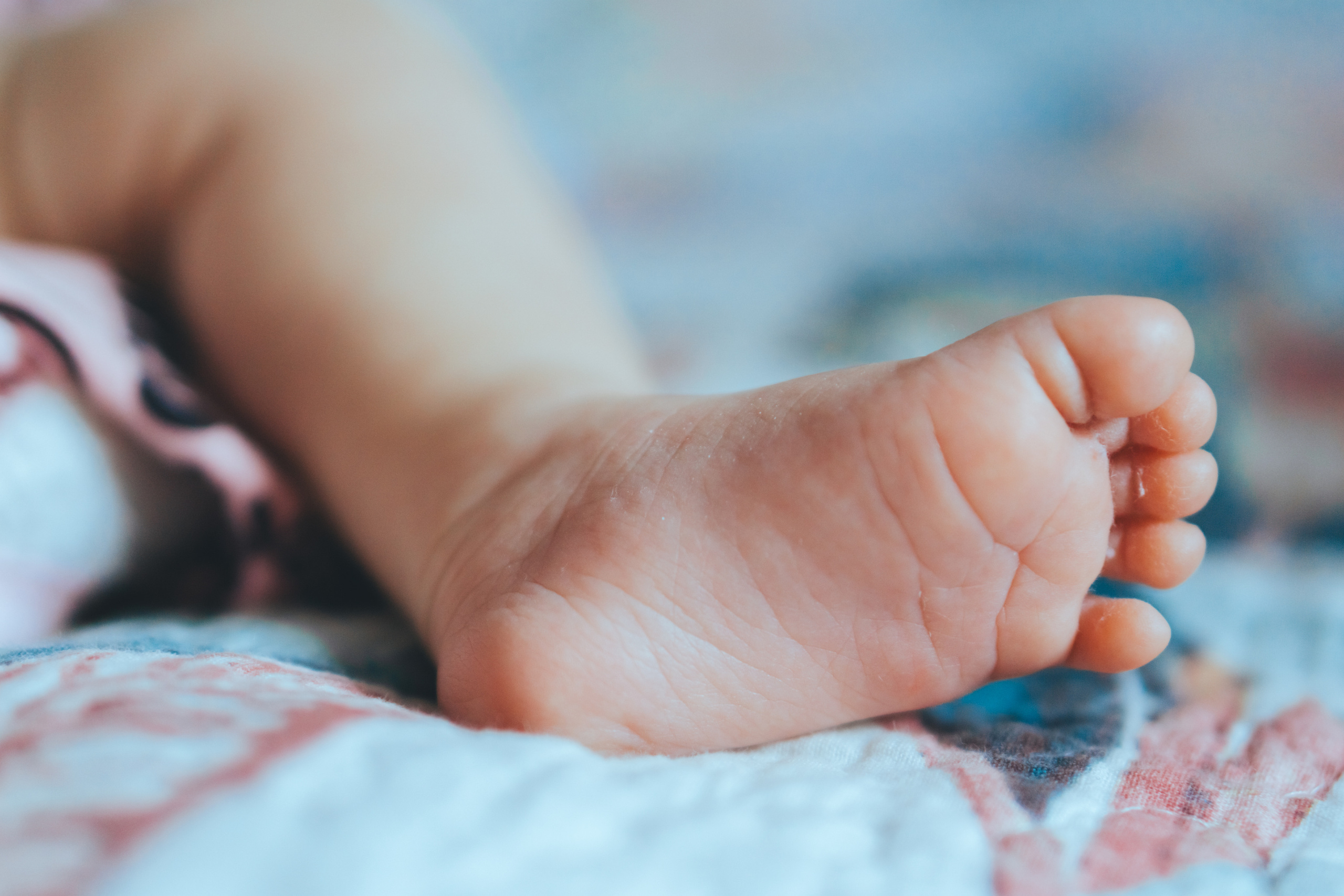 ◦ Arina ◦. Фотограф