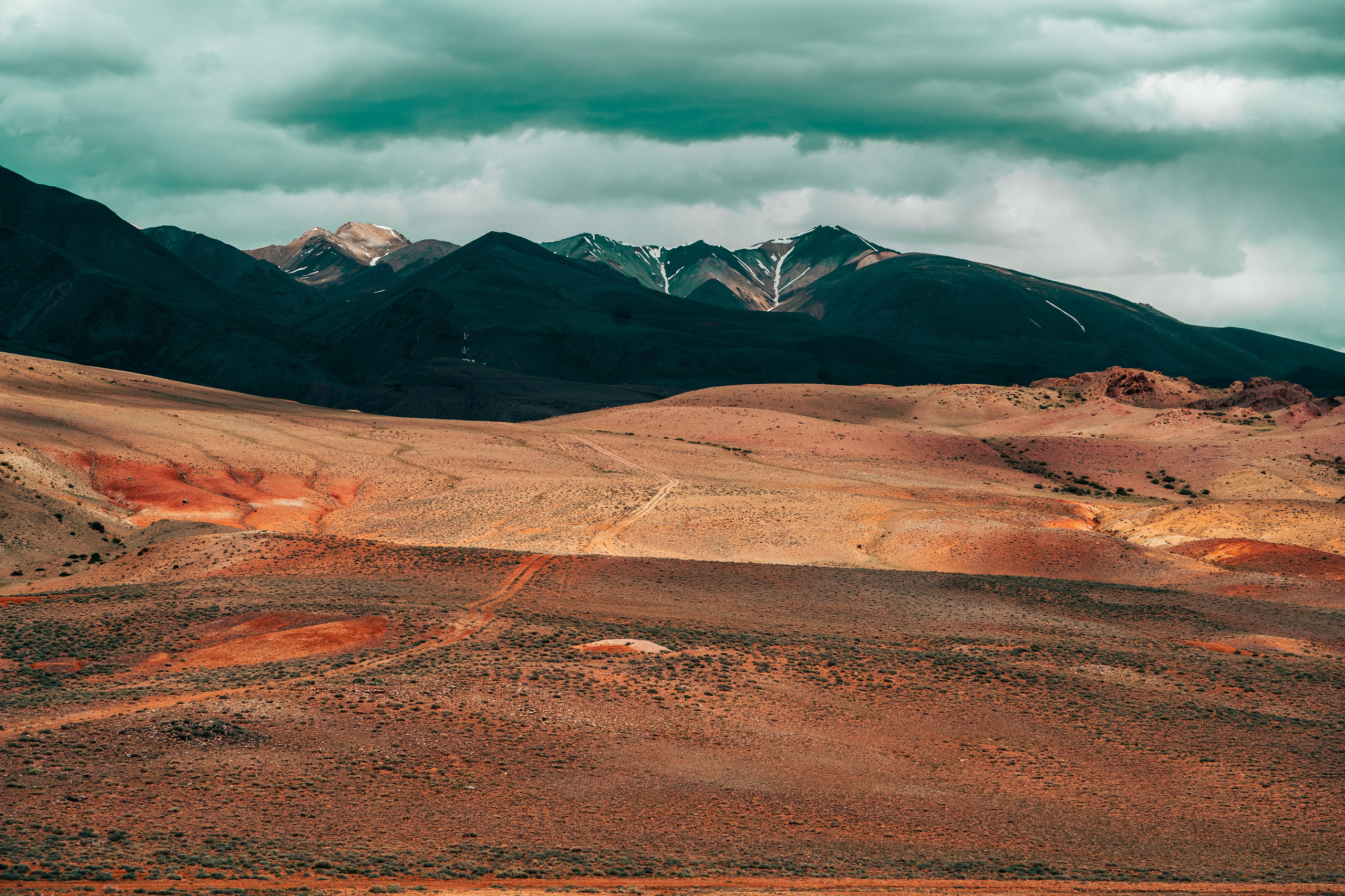 Алтай. Оператор и Фотограф в Санкт-Петербурге и Москве