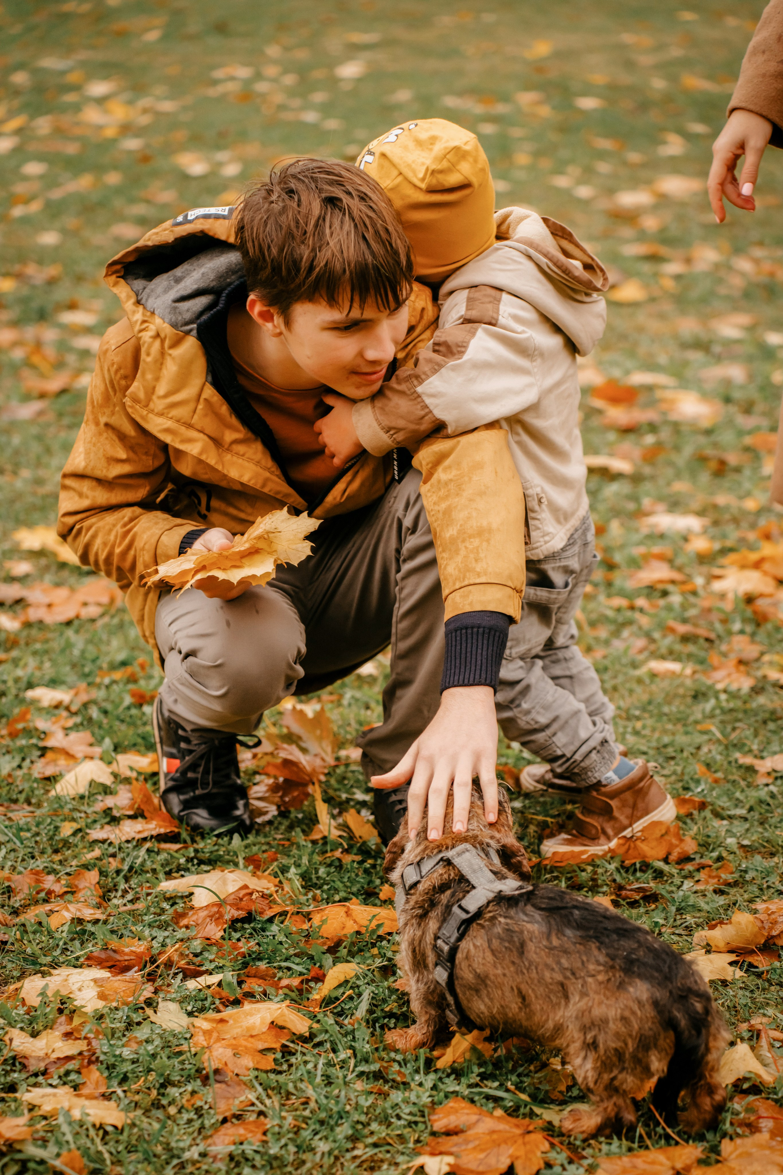 Семья осень. Фотограф Оксана Шавва
