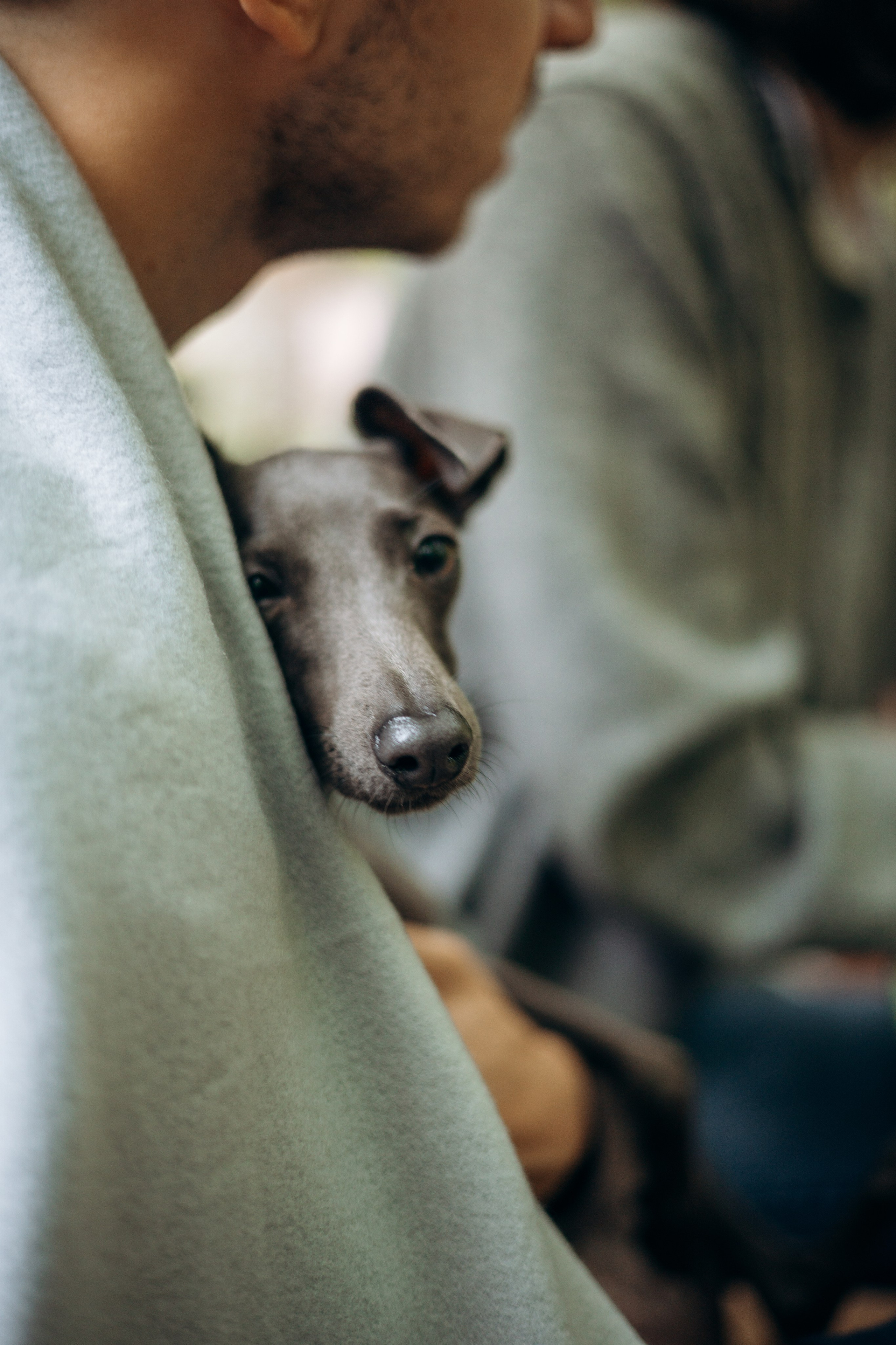 Лучик и ее семья. Фотограф — Анималист | Санкт-Петербург