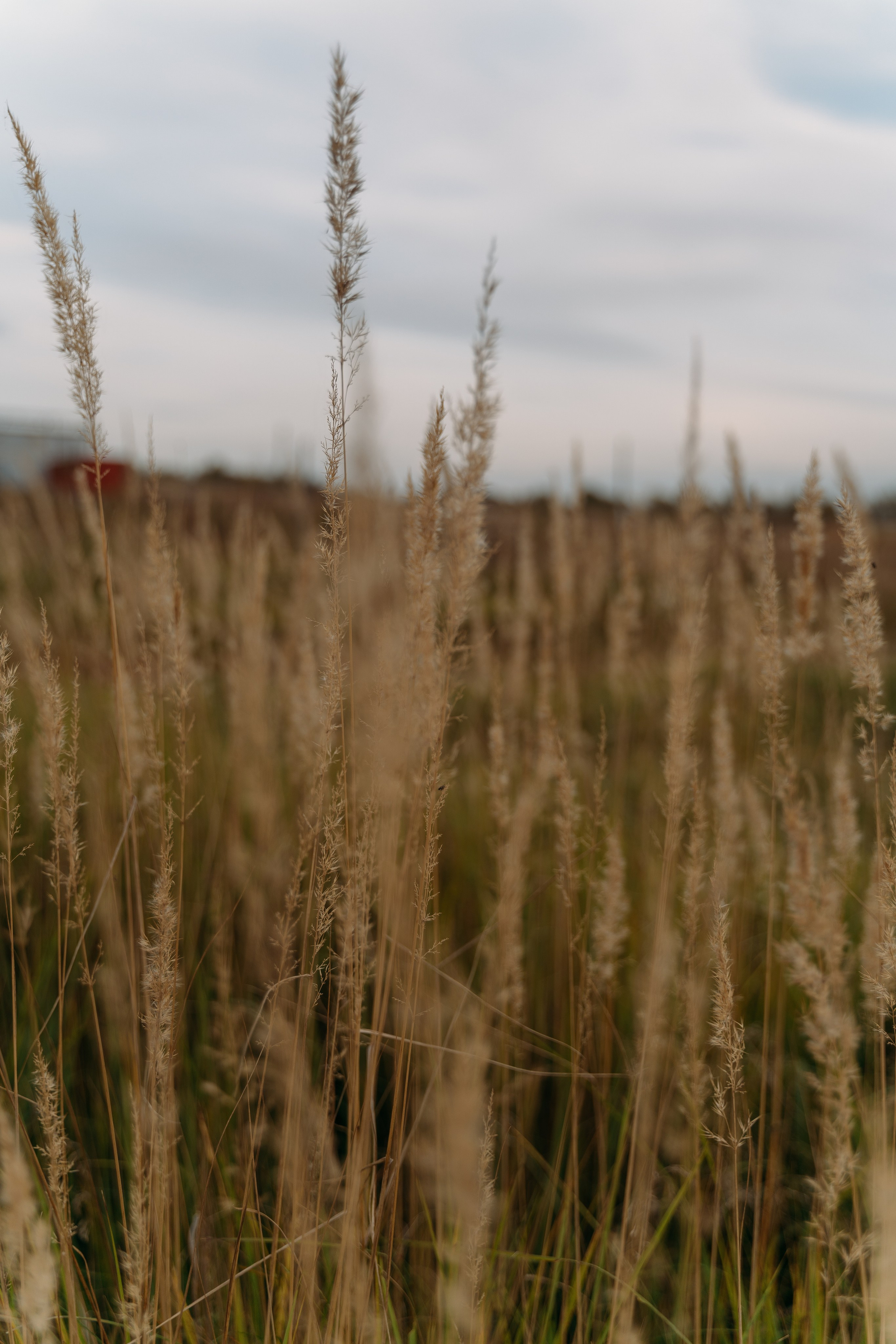 Катерина. FotoTanya. Раменское/Жуковский/Бронницы