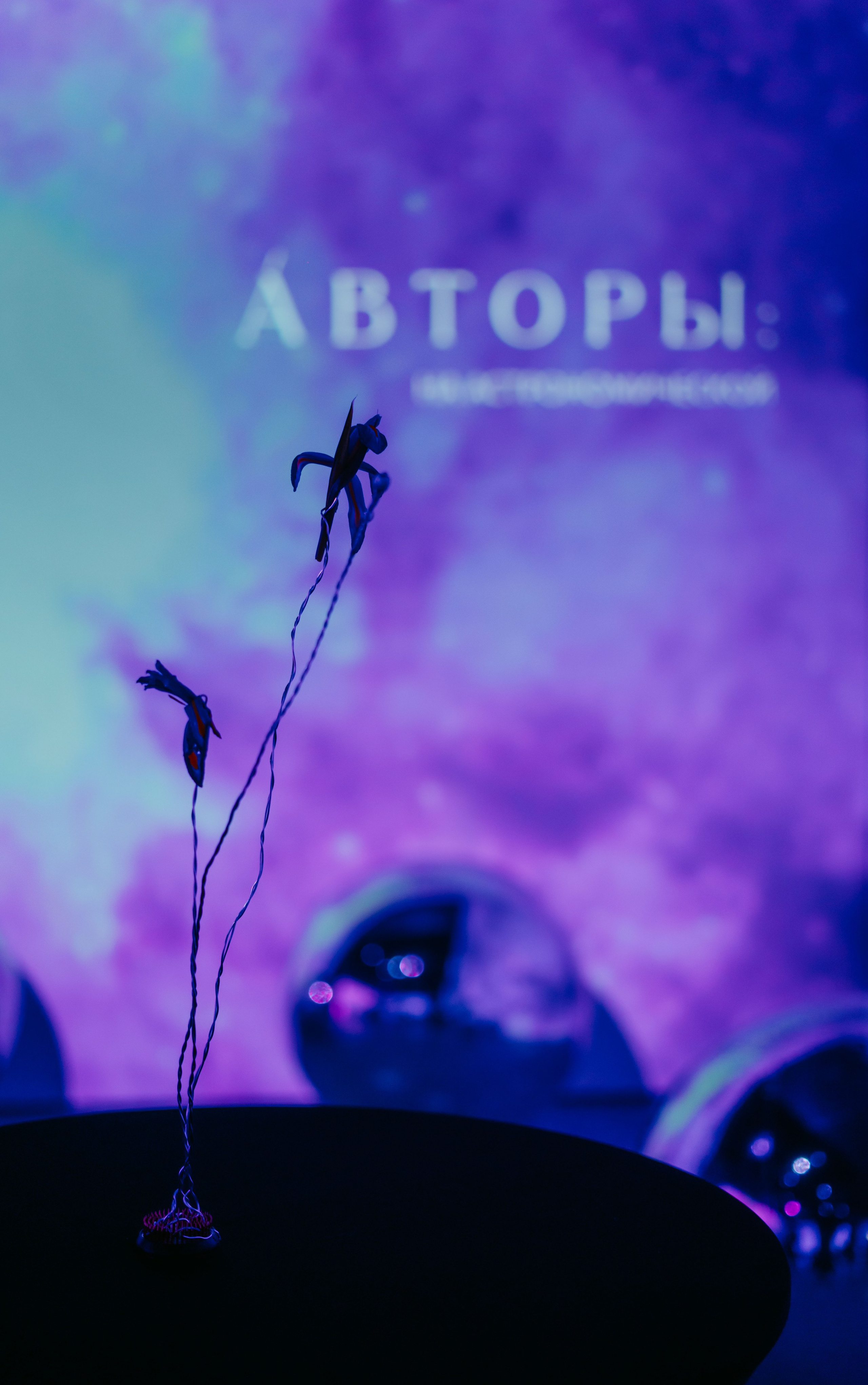 Авторы. Презентация ЖК / 2025. Саша Копылов, фотограф в Казани