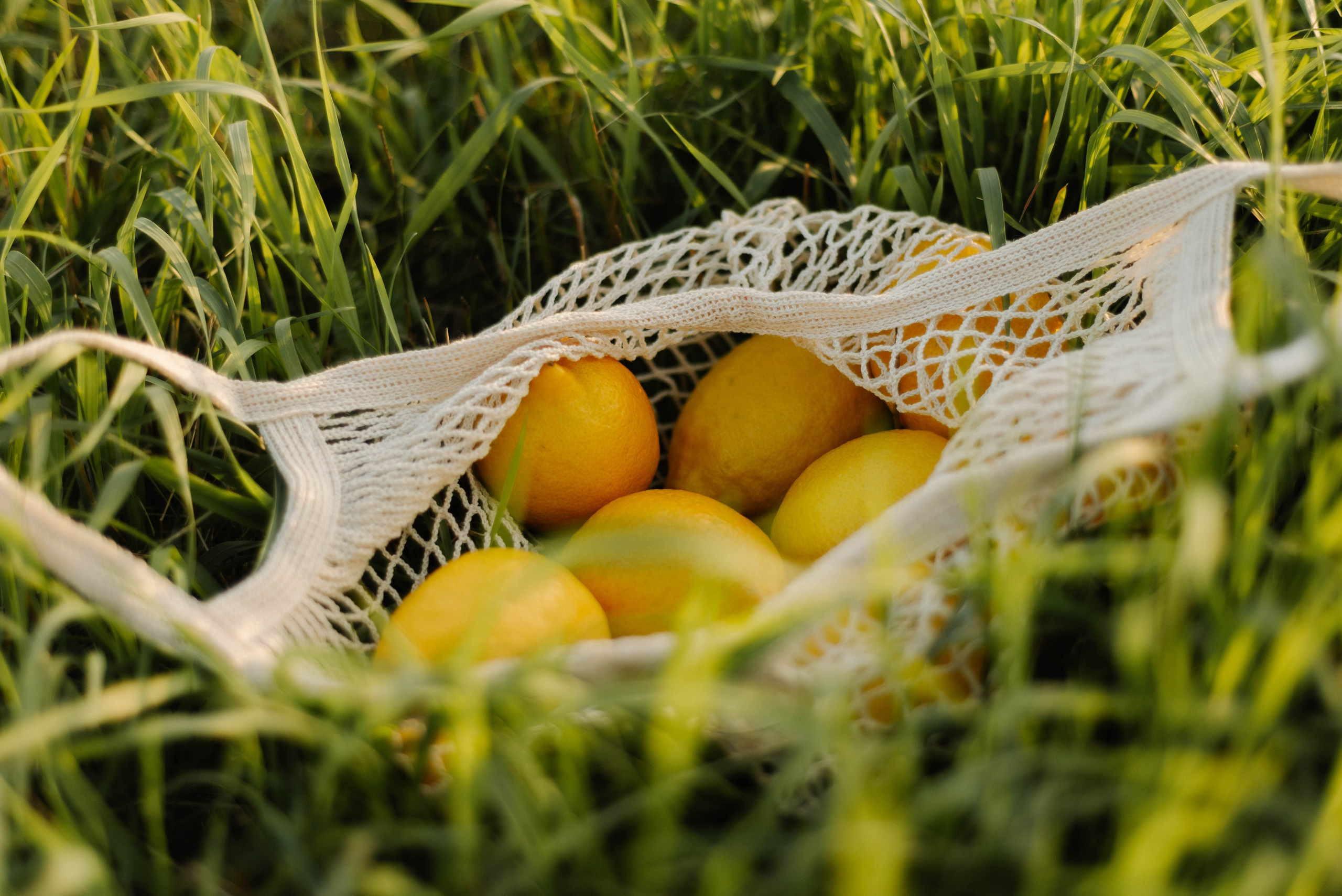 Елена. Фотограф в Новосибирске