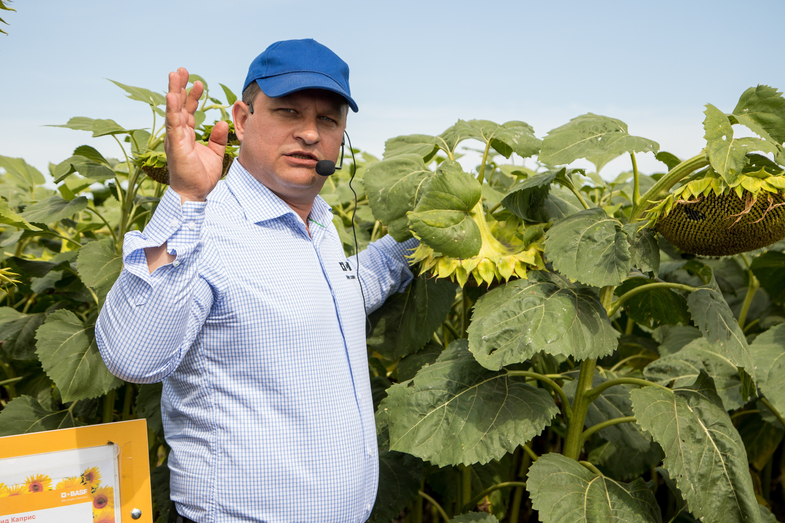 Решения для сельского хозяйства BASF 16.08.2022. Владислав Волков | Фотография и видеосъемка в Воронеже