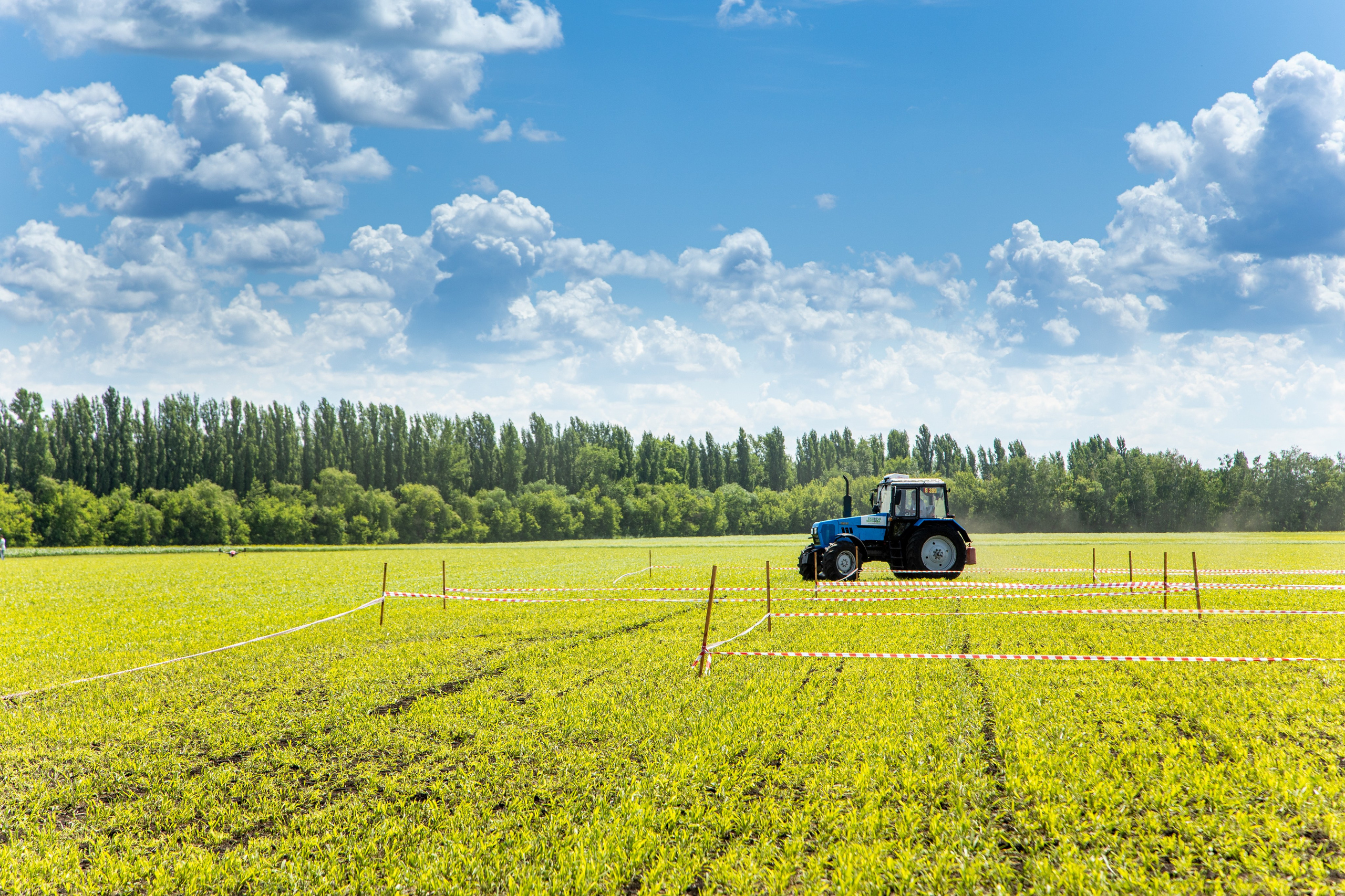 День Поля 2022. Владислав Волков | Фотография и видеосъемка в Воронеже