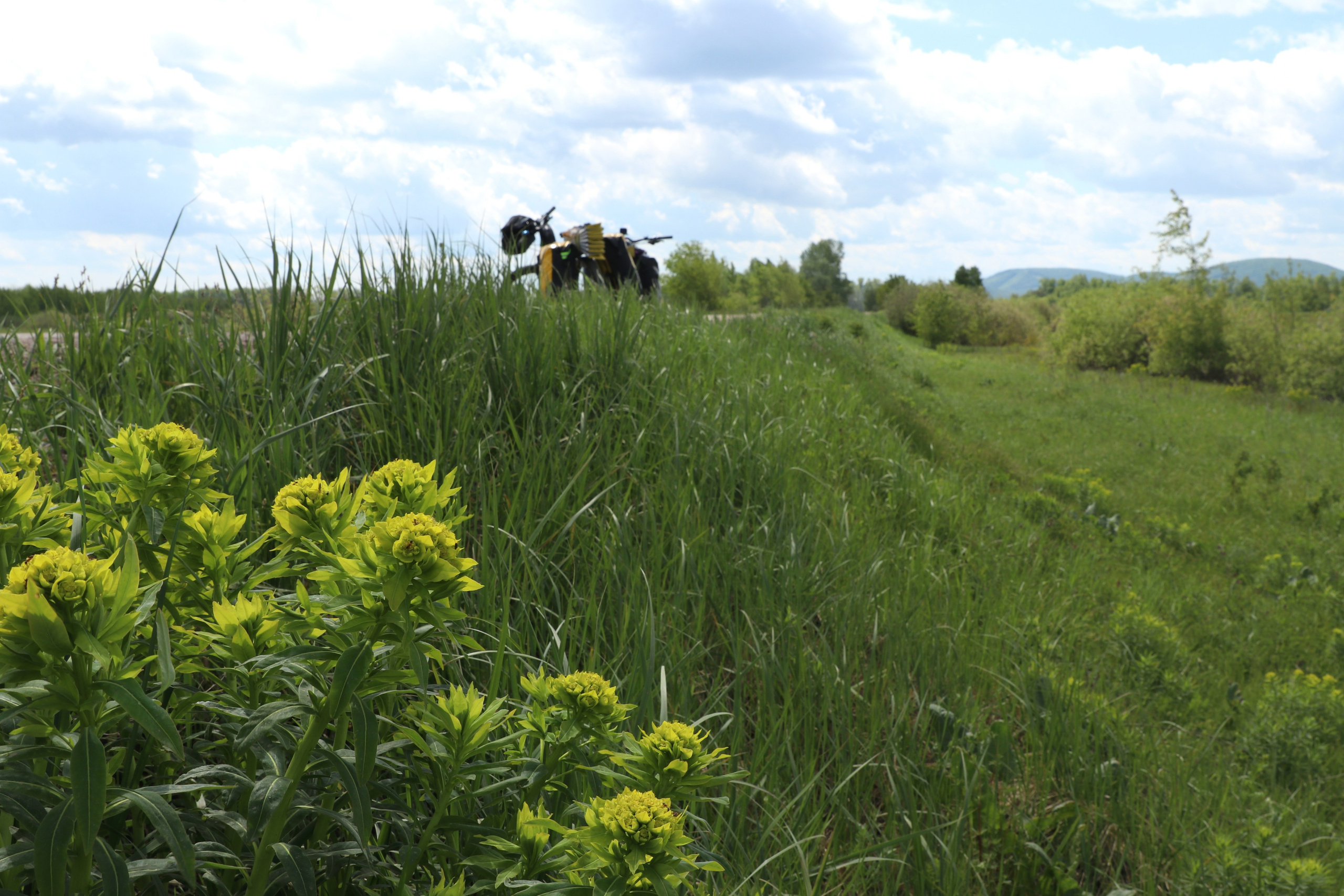 Велопоход Уфа — Мелеуз. Май 2024. Путешественник-фотограф из Санкт-Петербурга Татьяна Свистулина