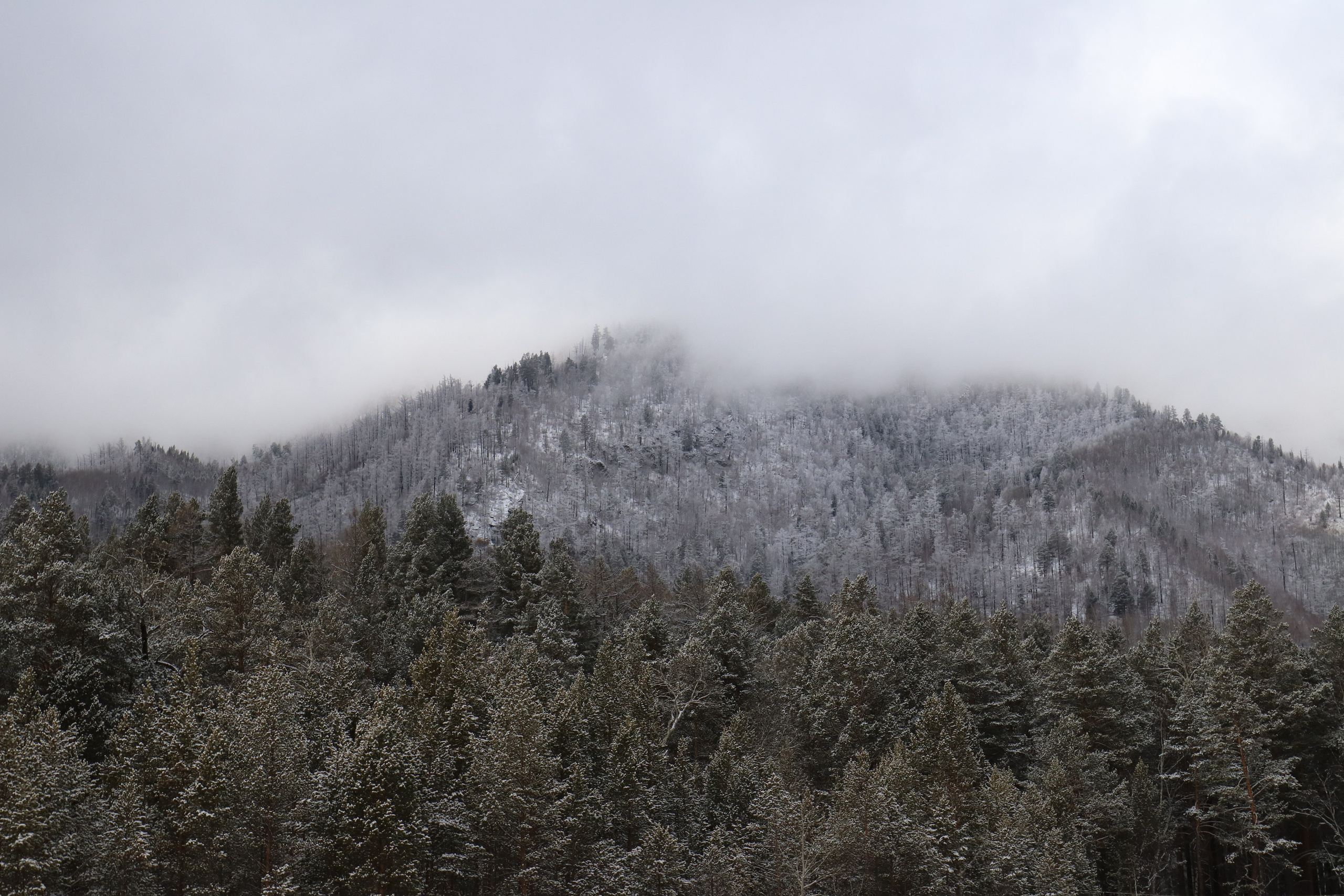 Аршан. Март 2023. Путешественник-фотограф из Санкт-Петербурга Татьяна Свистулина