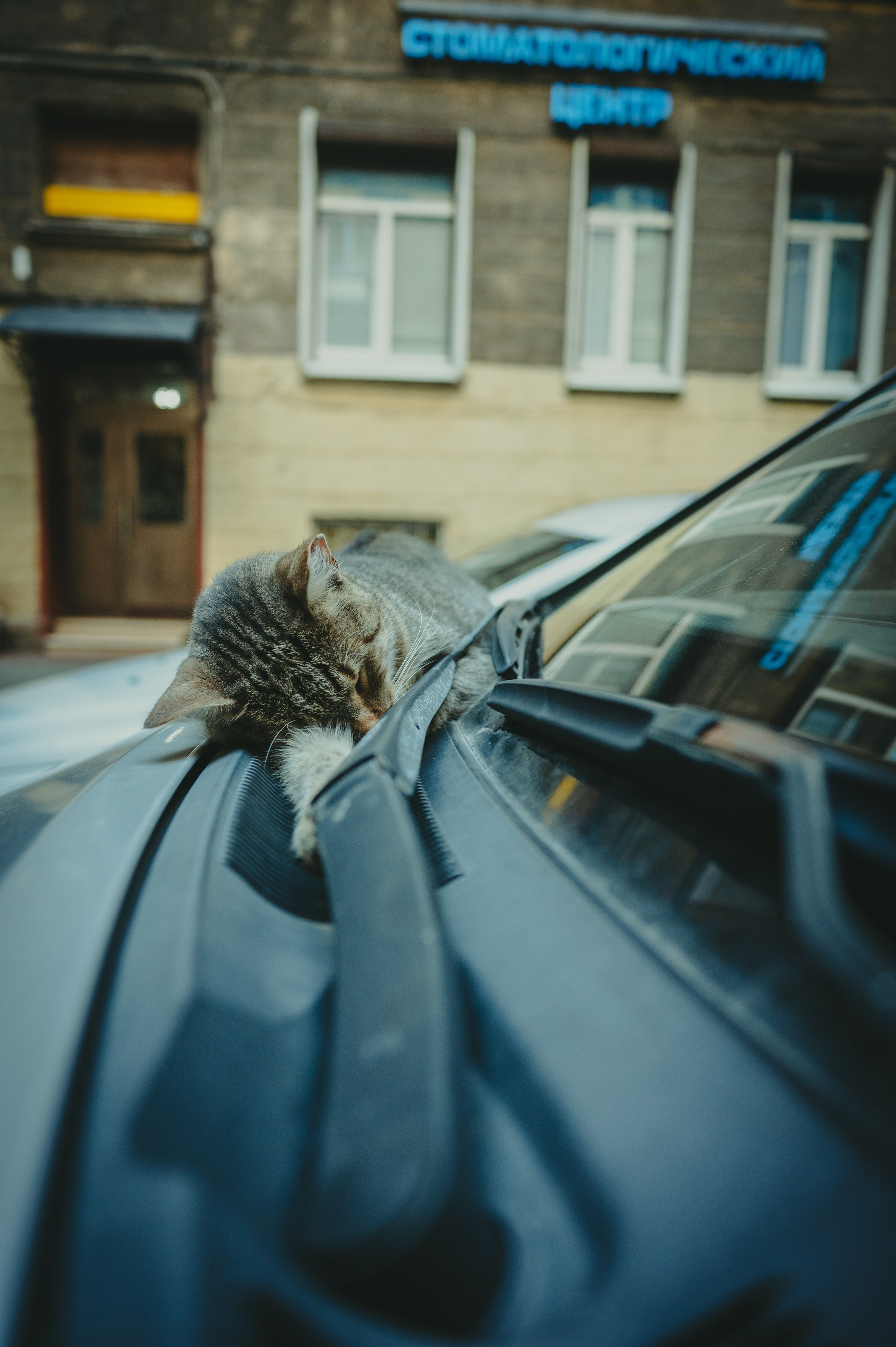 Питер. Фотограф Крещение Венчание Москва
