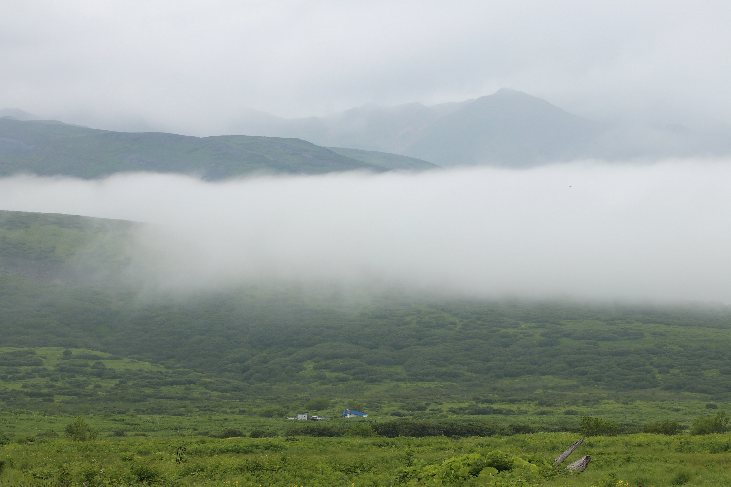 Камчатка и о. Парамушир. Июль 2024. Путешественник-фотограф из Санкт-Петербурга Татьяна Свистулина
