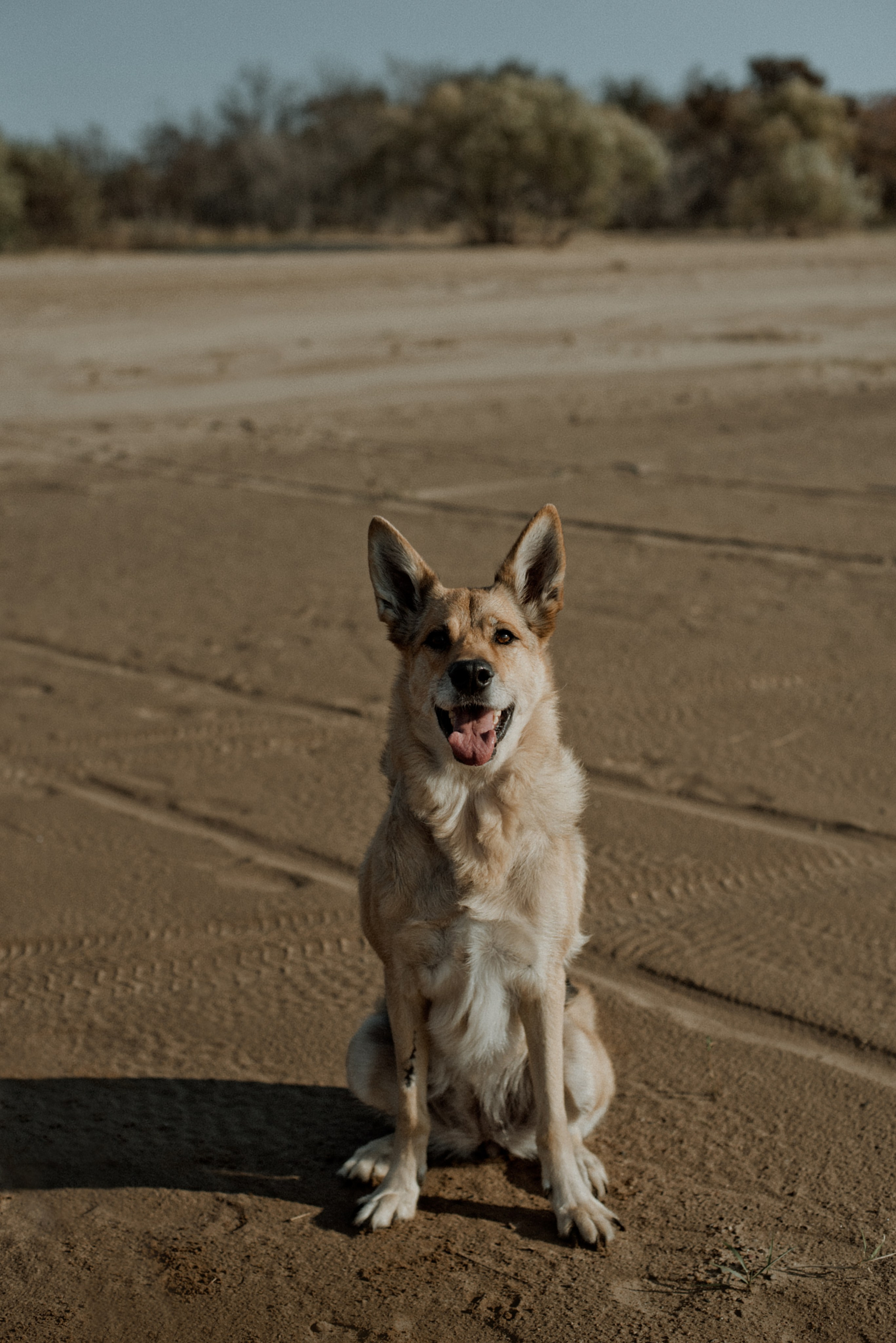 Прогулка: Аня и Шуня. Портфолио