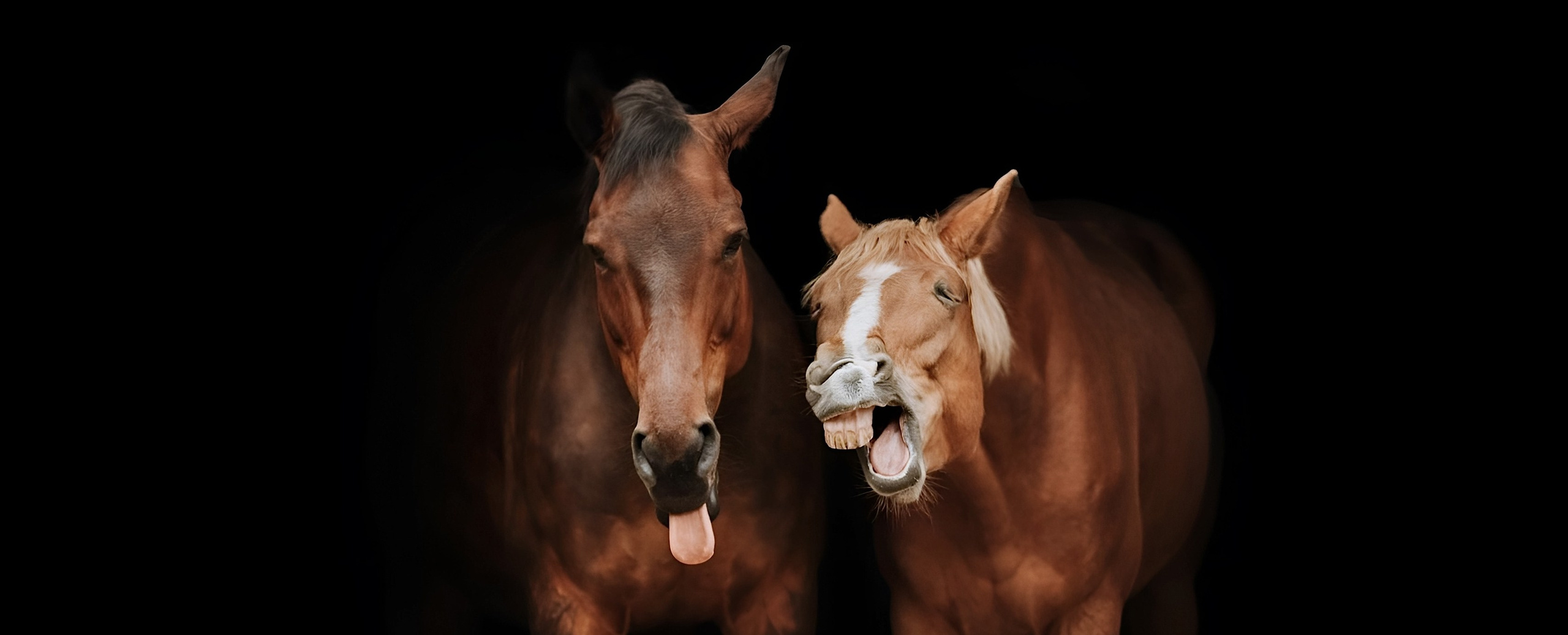 Wixmort | photographer Polina Soldatova