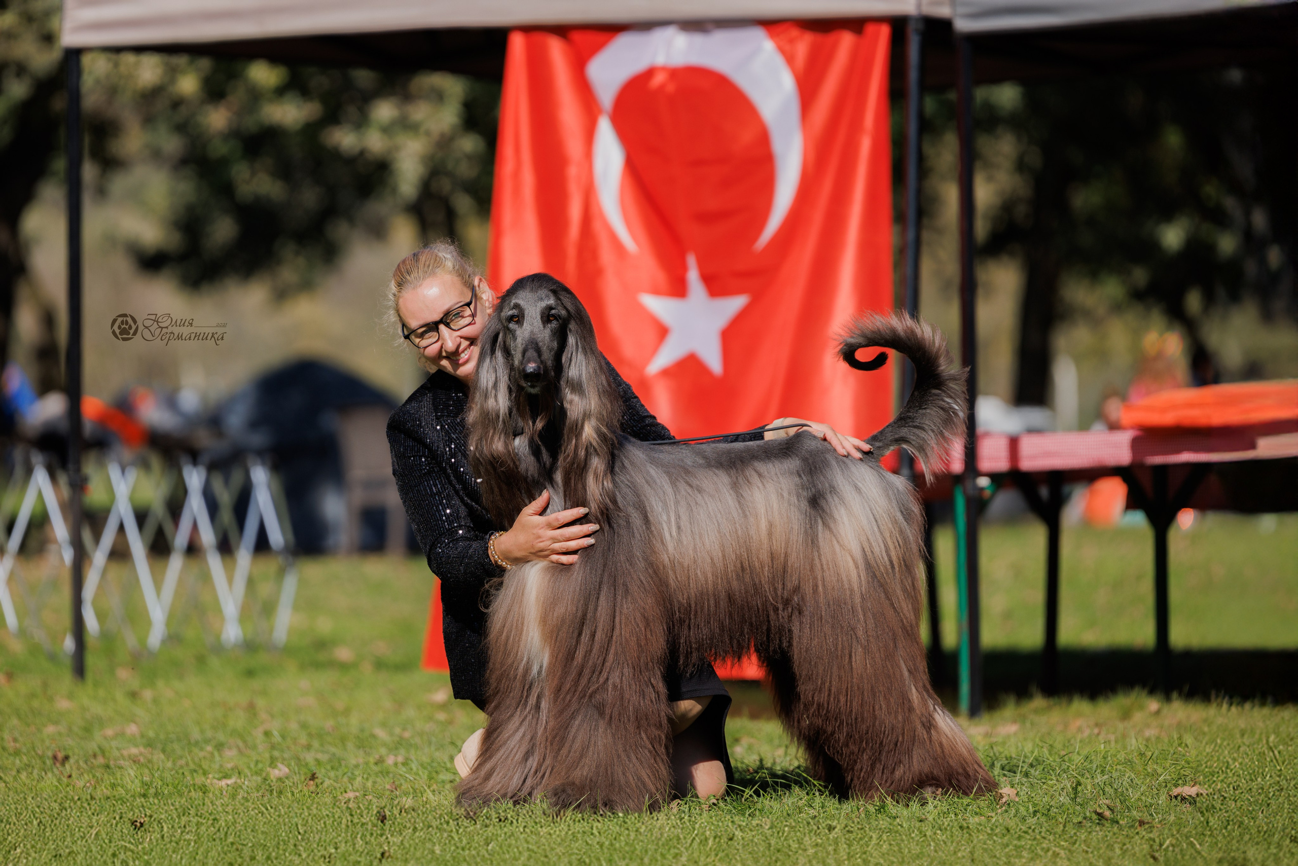 Туция,Стамбул 2хCACIB 26-27.10.24. Фотограф-анималист Юлия Германика