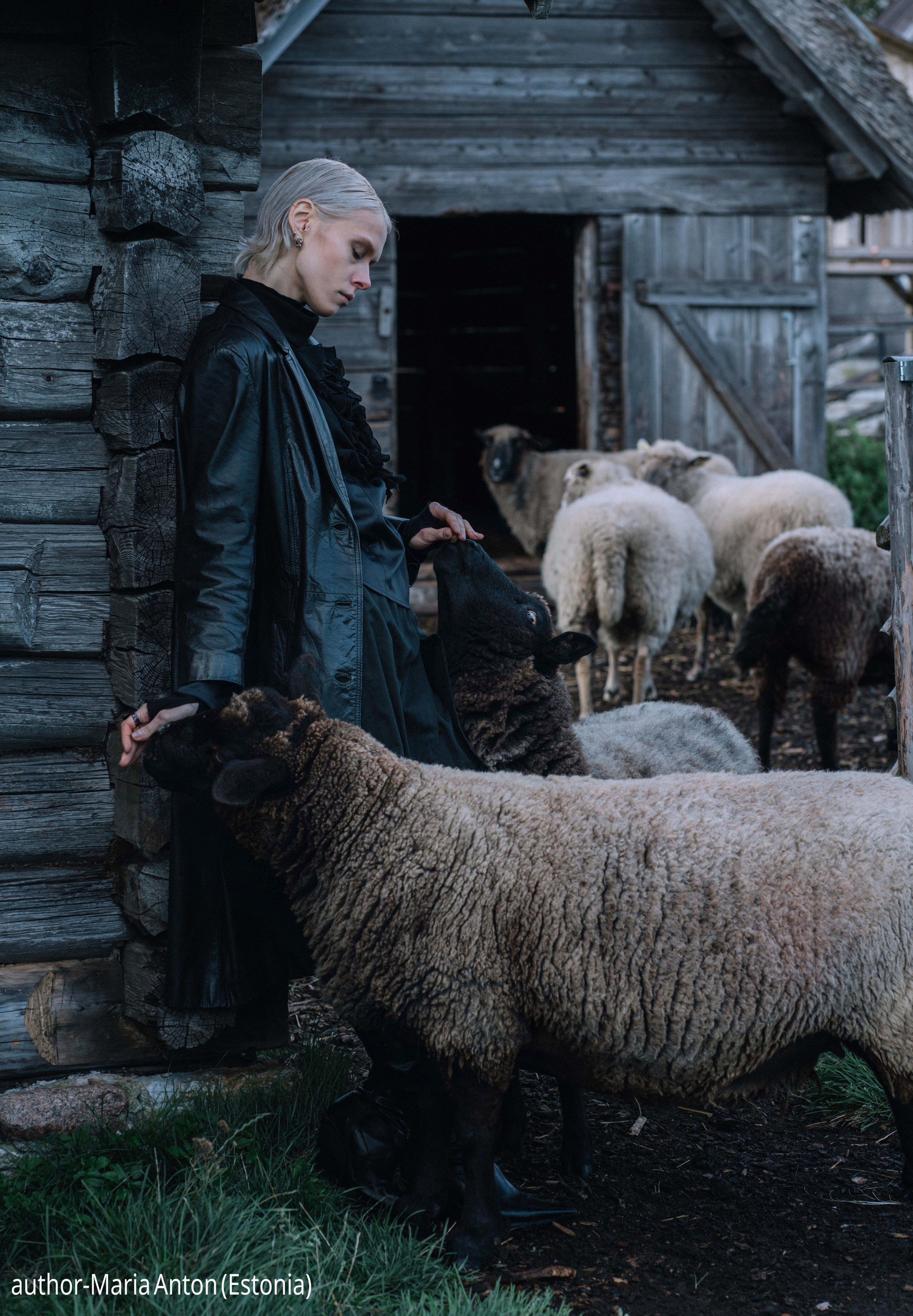 Gallery. UNUSUAL TALENT magazine