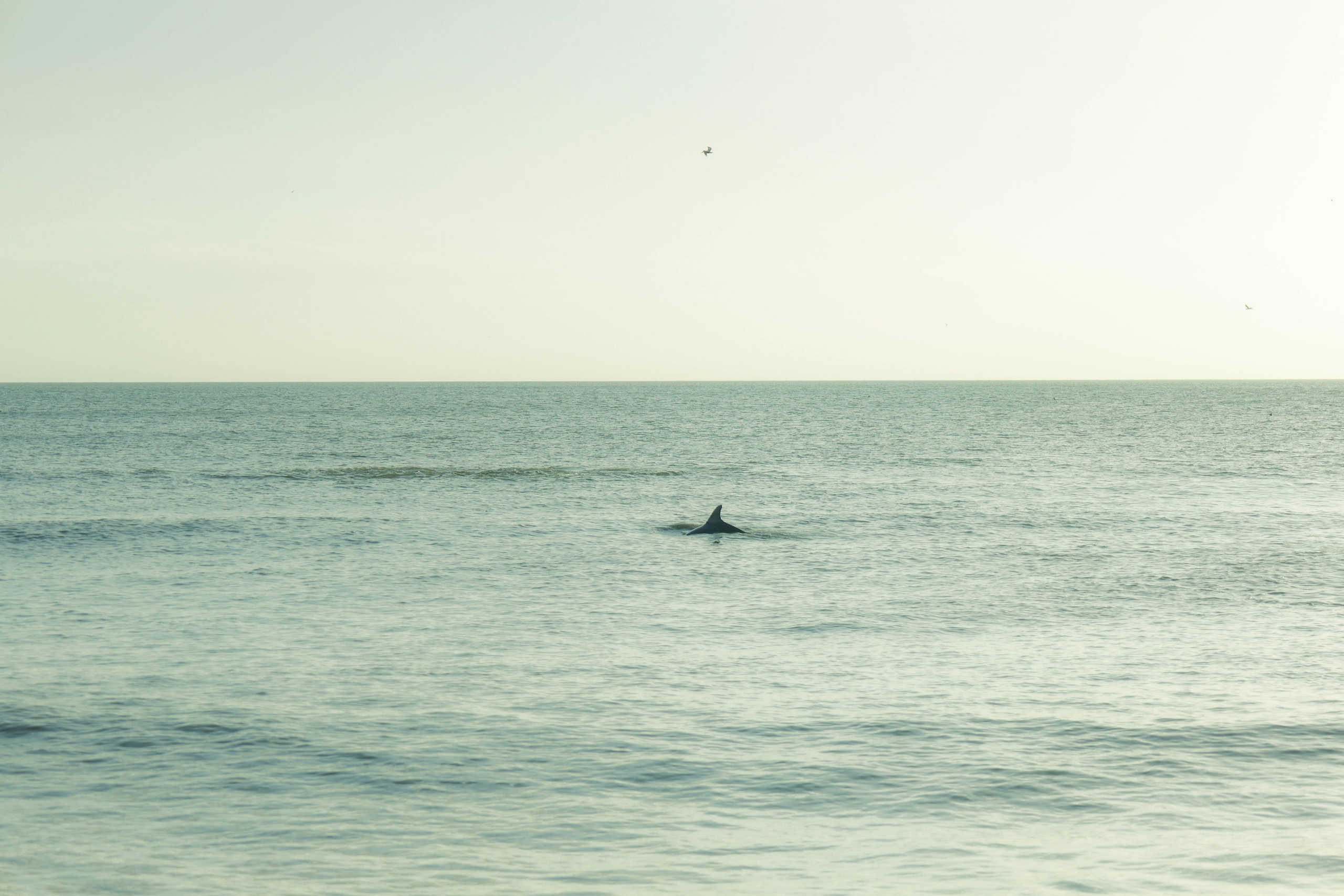 Фотопрогулка. Kateserbina