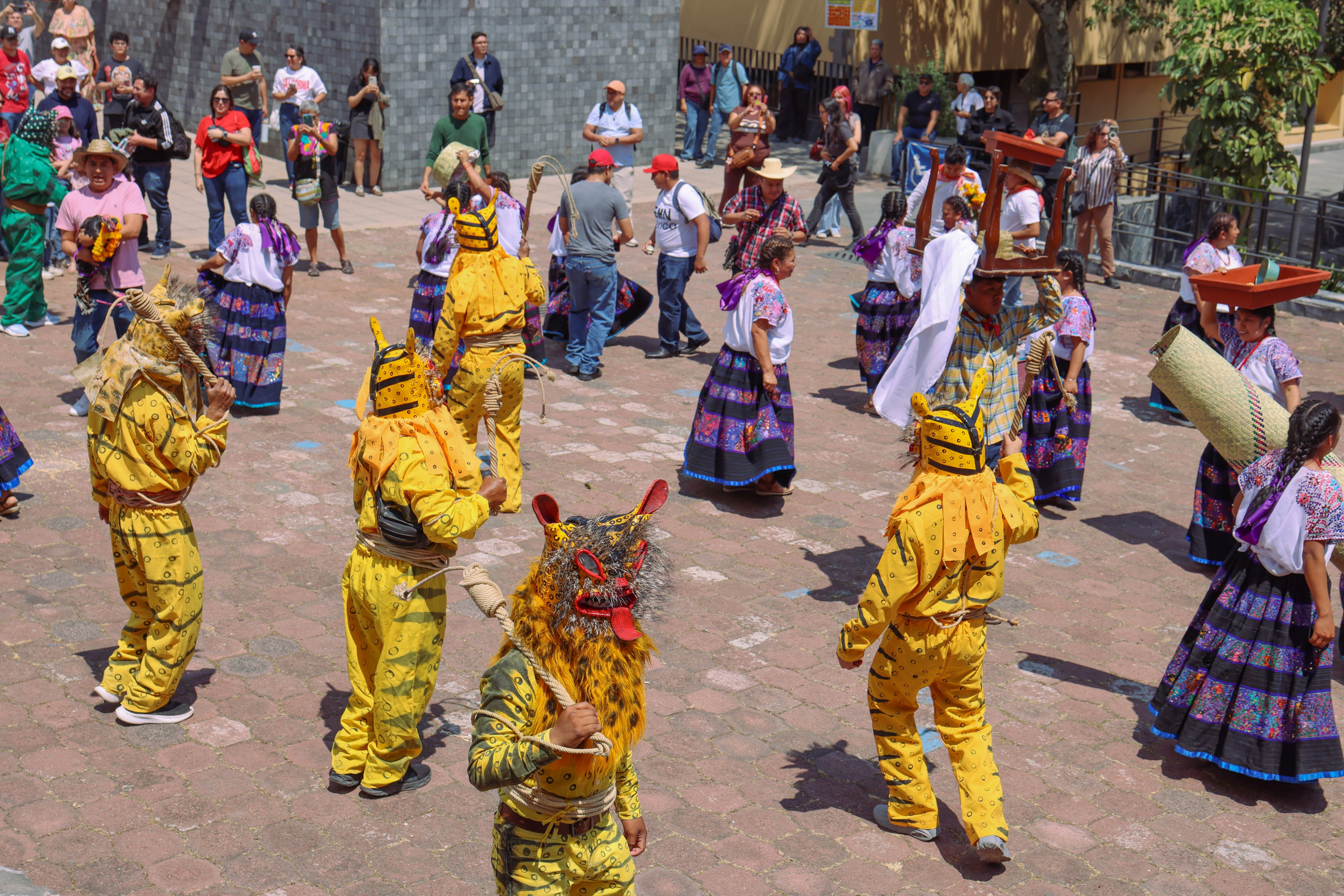 Фестиваль Герреро. Kateserbina