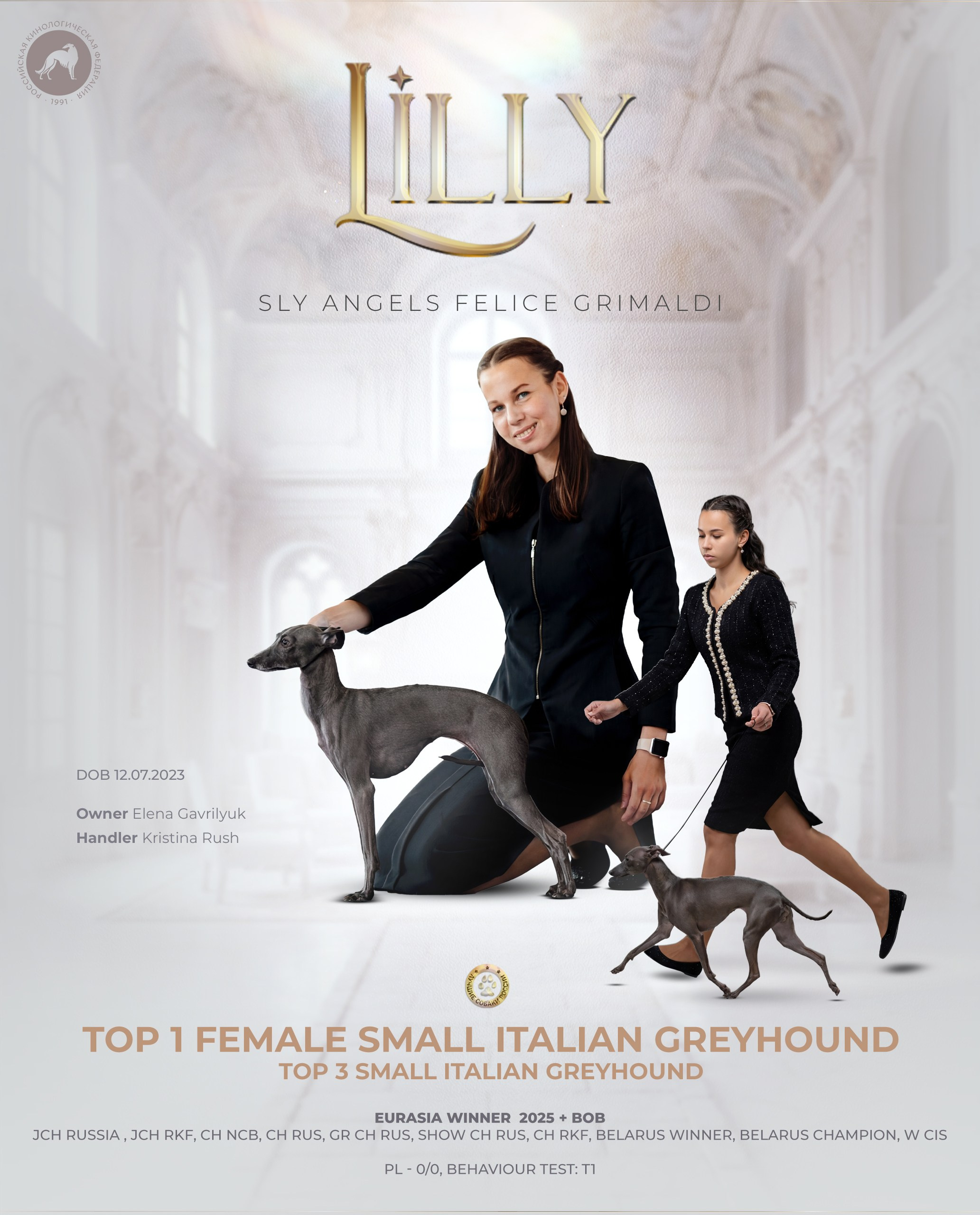 Презентация левретки