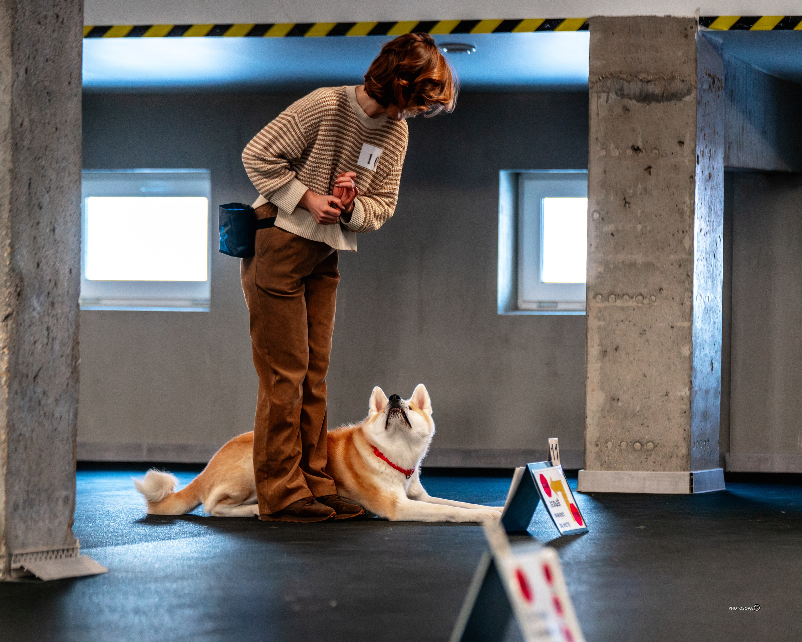 ТЫ И Я (соревнования по ралли-обидиенс). Фотограф-анималист, семейный фотограф в Москве и Подмосковье. Фотосъёмка кинологических дисциплин