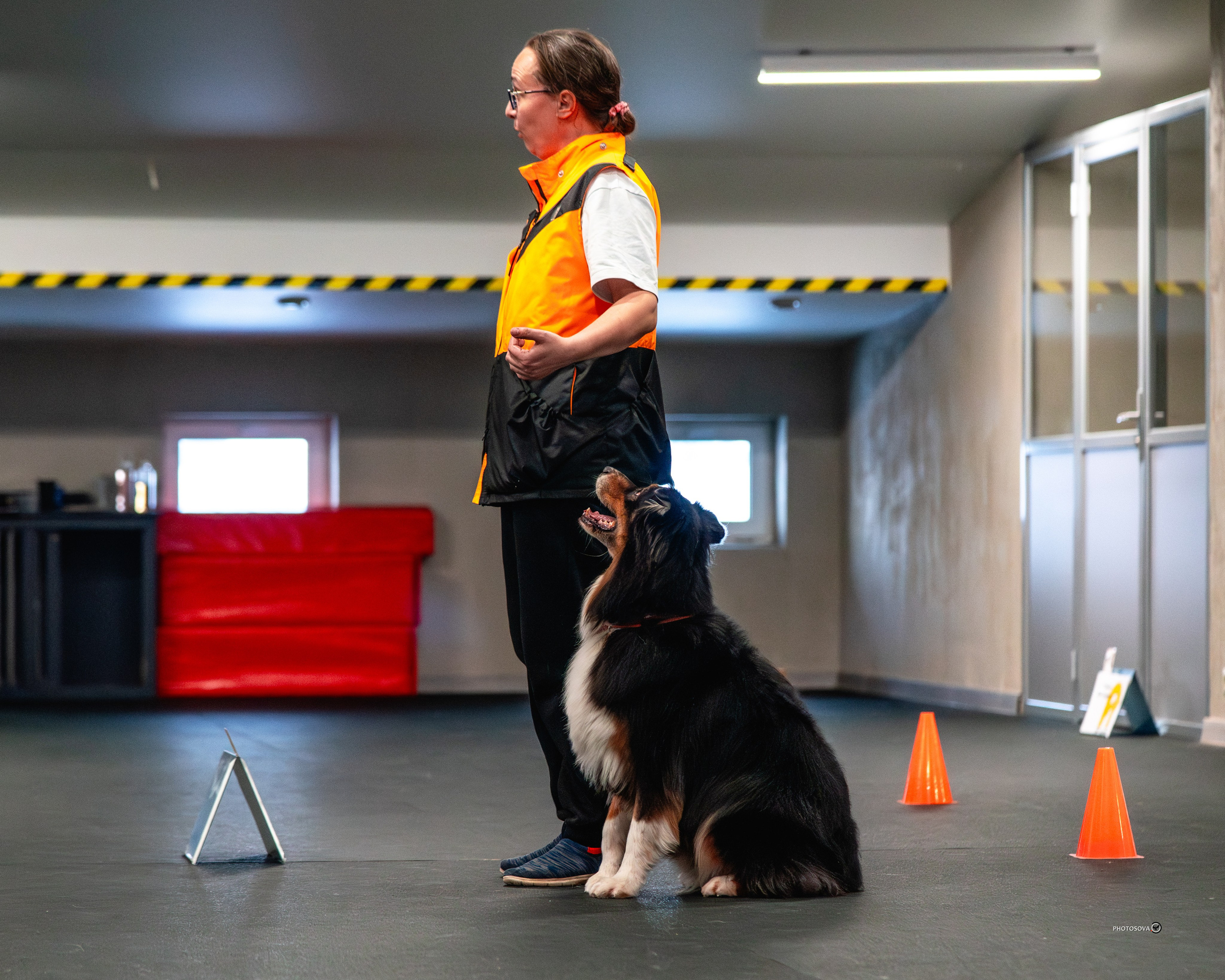 ТЫ И Я (соревнования по ралли-обидиенс). Фотограф-анималист, семейный фотограф в Москве и Подмосковье. Фотосъёмка кинологических дисциплин