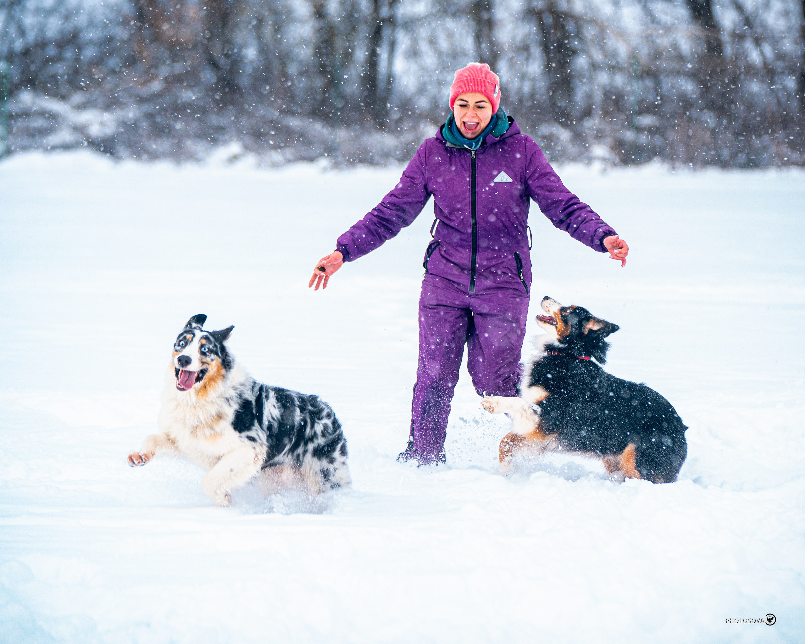 ФОТОПАМЯТЬ ВАШИХ ЭМОЦИЙ. Фотограф-анималист, семейный фотограф в Москве и Подмосковье. Фотосъёмка кинологических дисциплин
