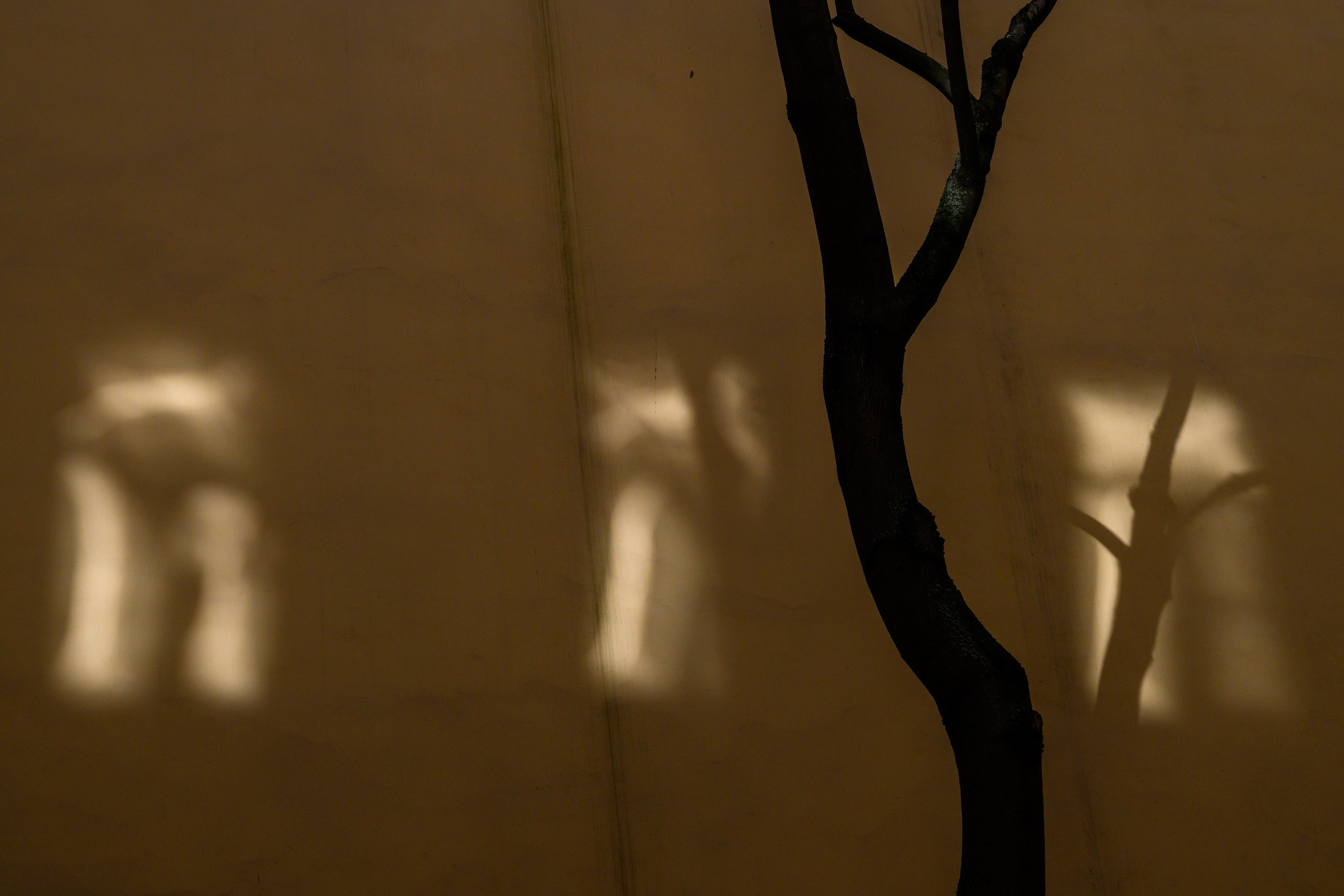 Light. Dimitri Bakhtadze photographer