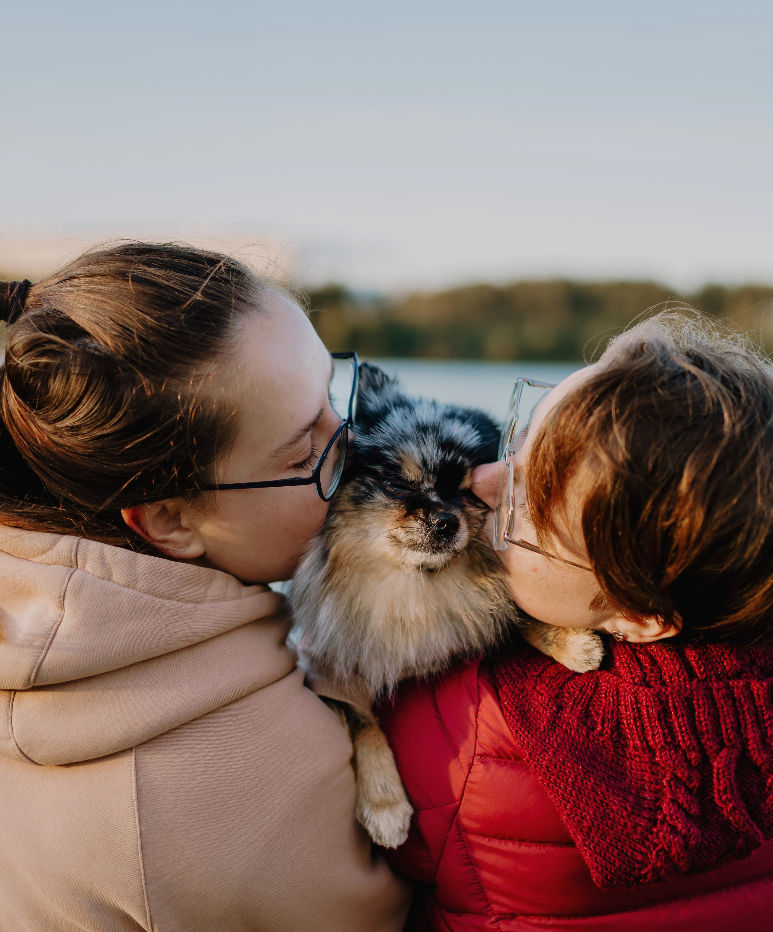 Семейная фотосессия с двумя собаками на закате. Фотограф анималист в Спб недорого Олеся Майорова
