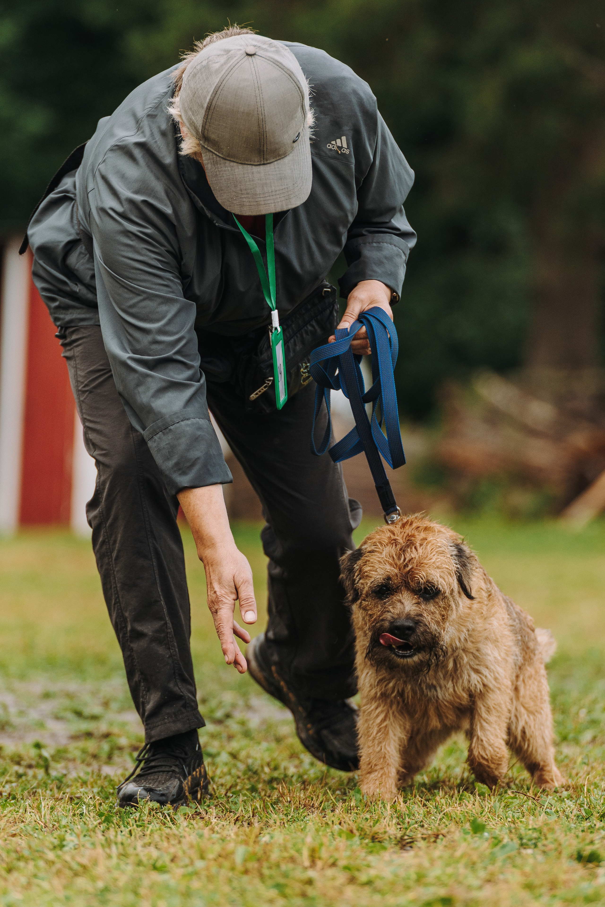 Соревнования по ноузворку в Новожилово. Фотограф анималист в Спб недорого Олеся Майорова
