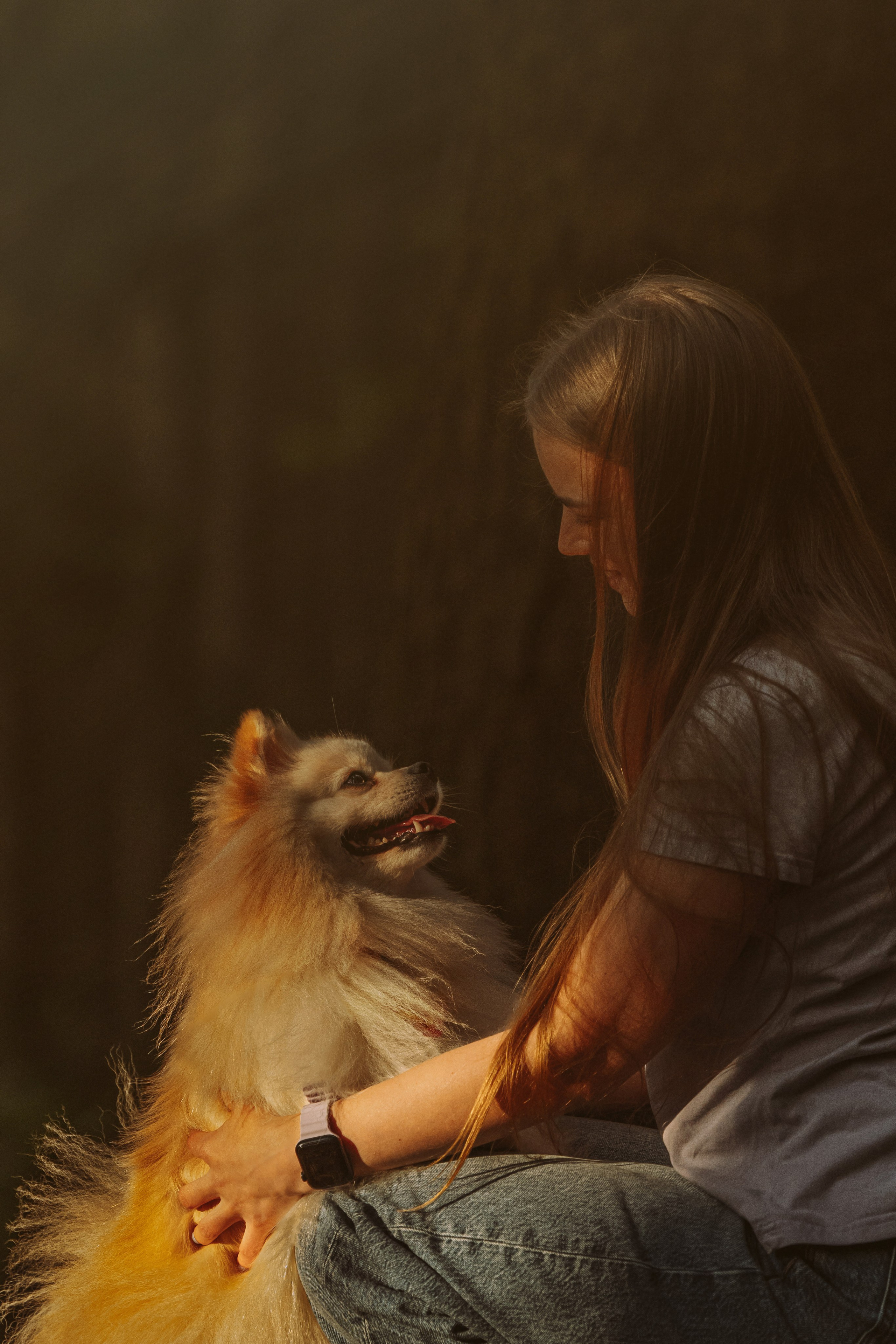 Фотосессия с собачкой в лесу. Фотограф анималист в Спб недорого Олеся Майорова