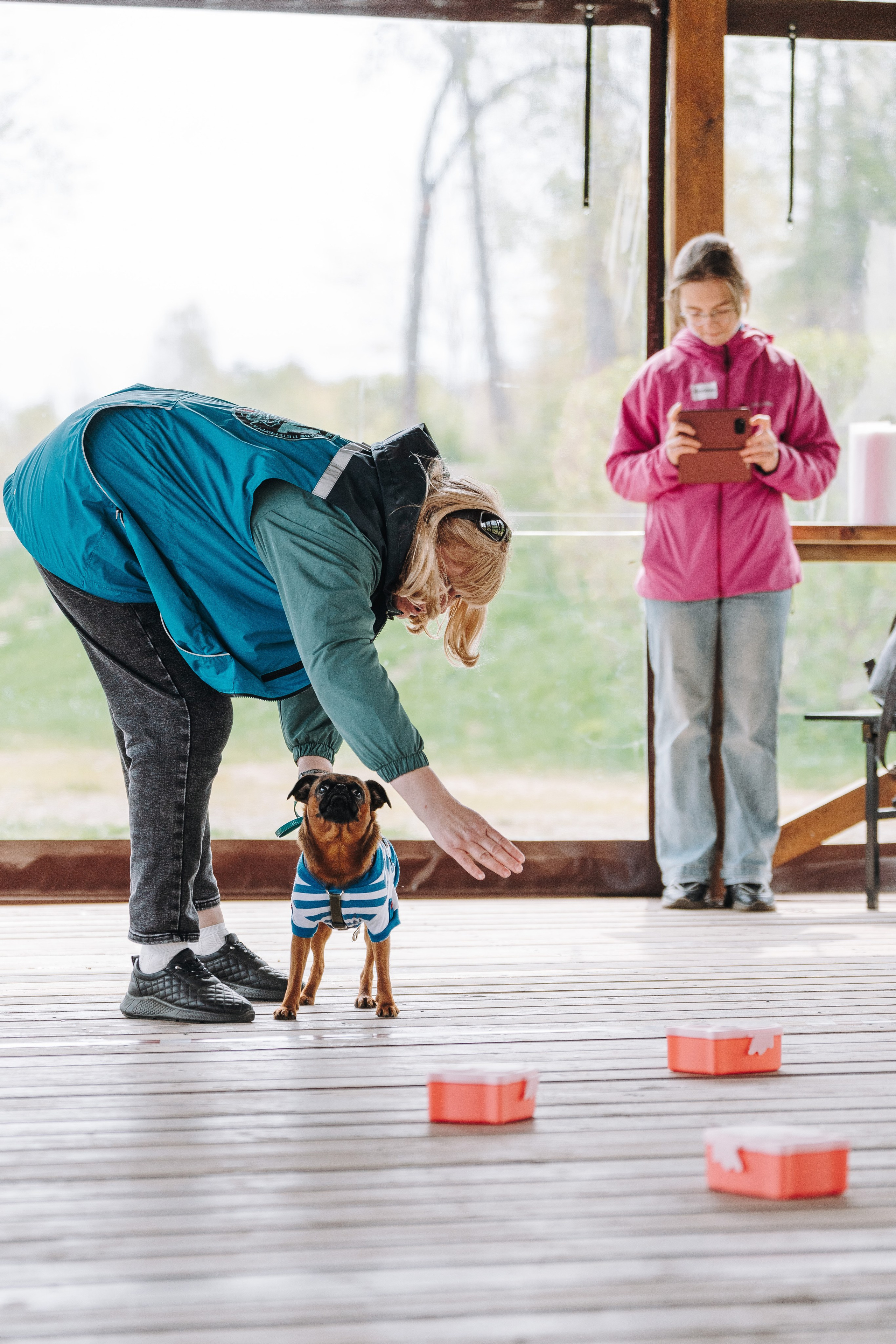 Соревнования по ноузворку в Лосево. Фотограф анималист в Спб недорого Олеся Майорова