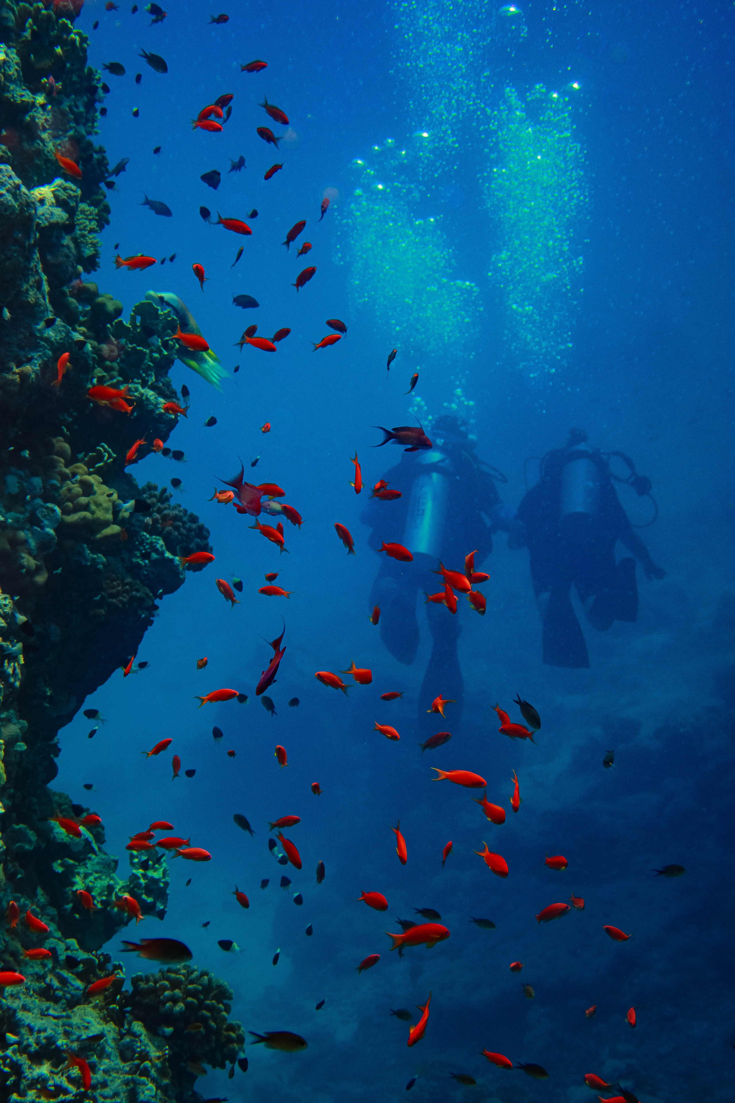 Fish. Фотограф Светлана Голицына