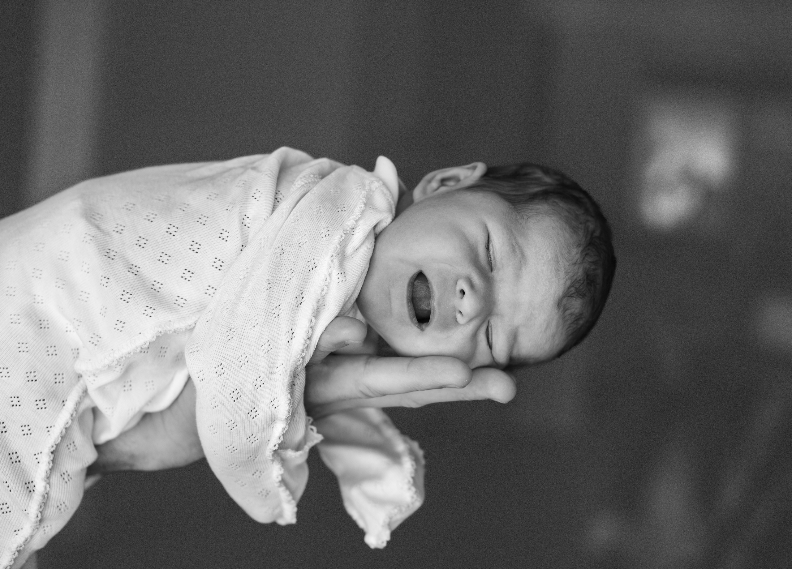 Family. Главная