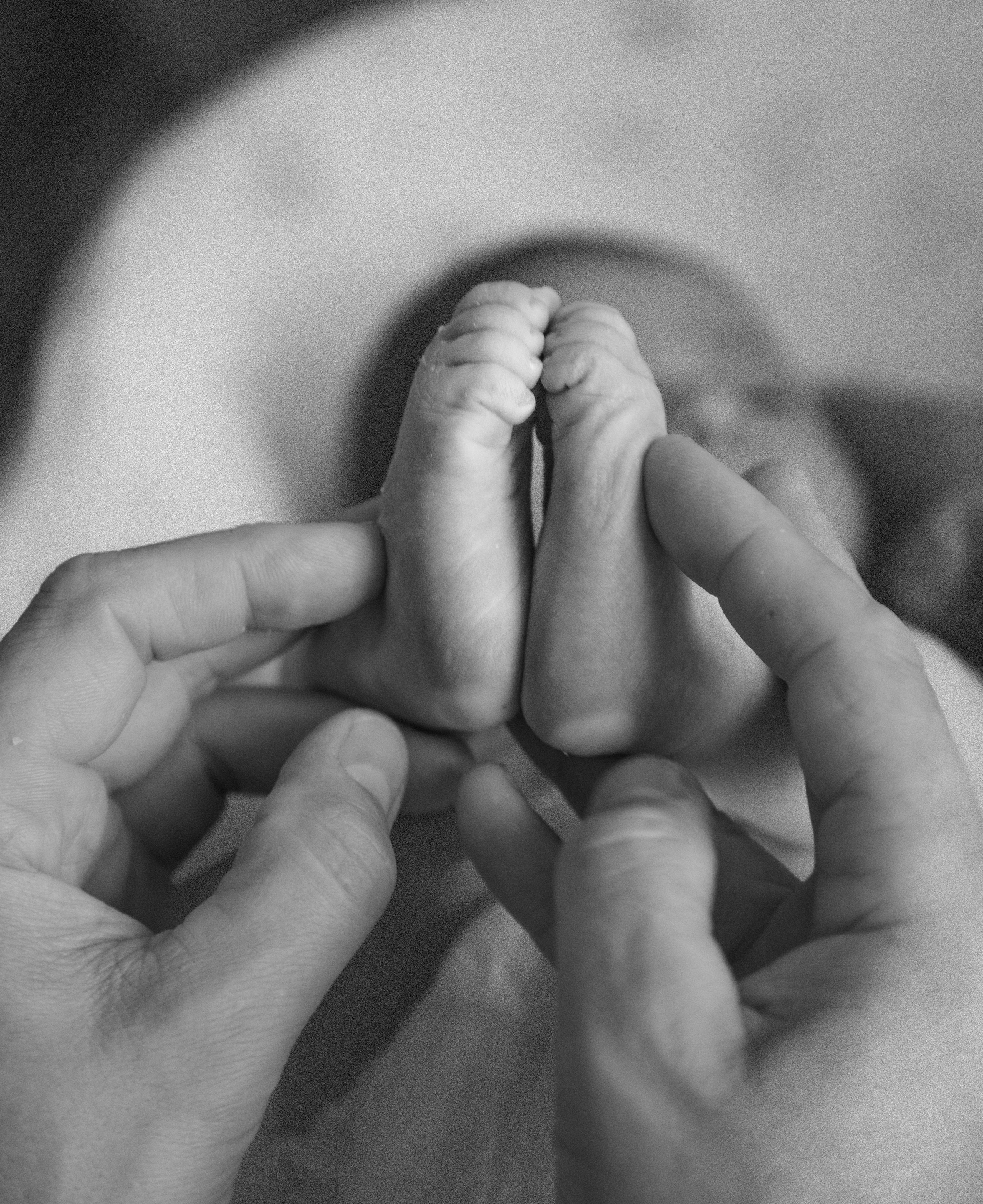 Family. Главная