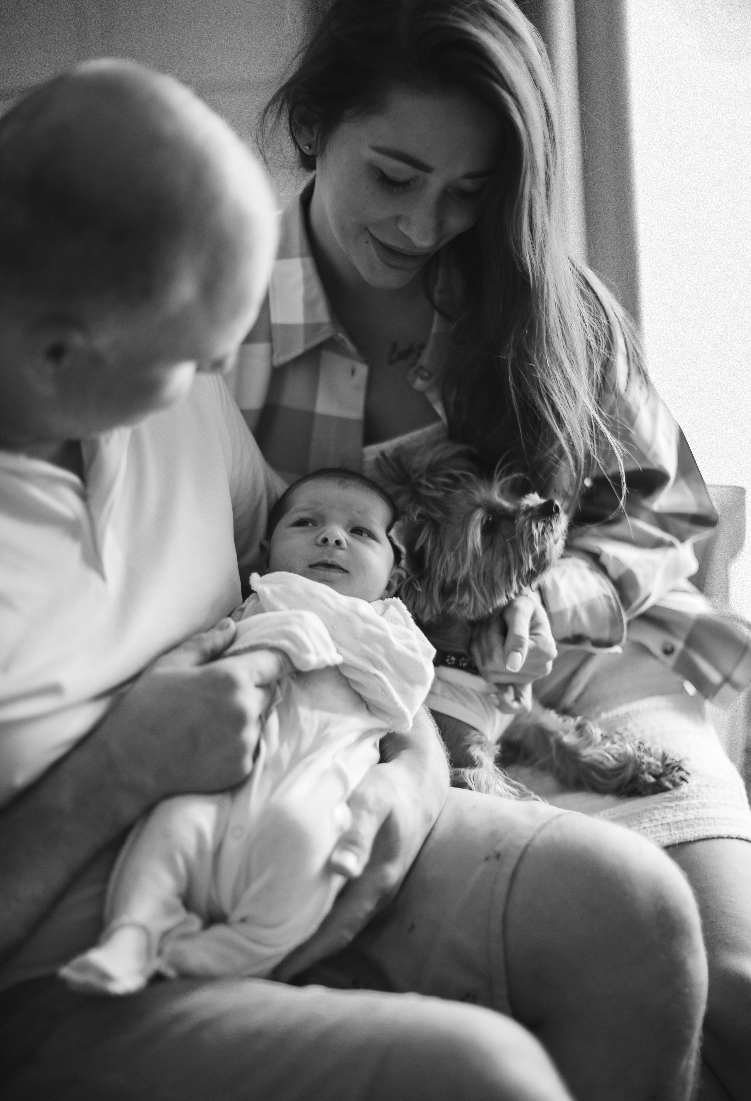 Family. Главная