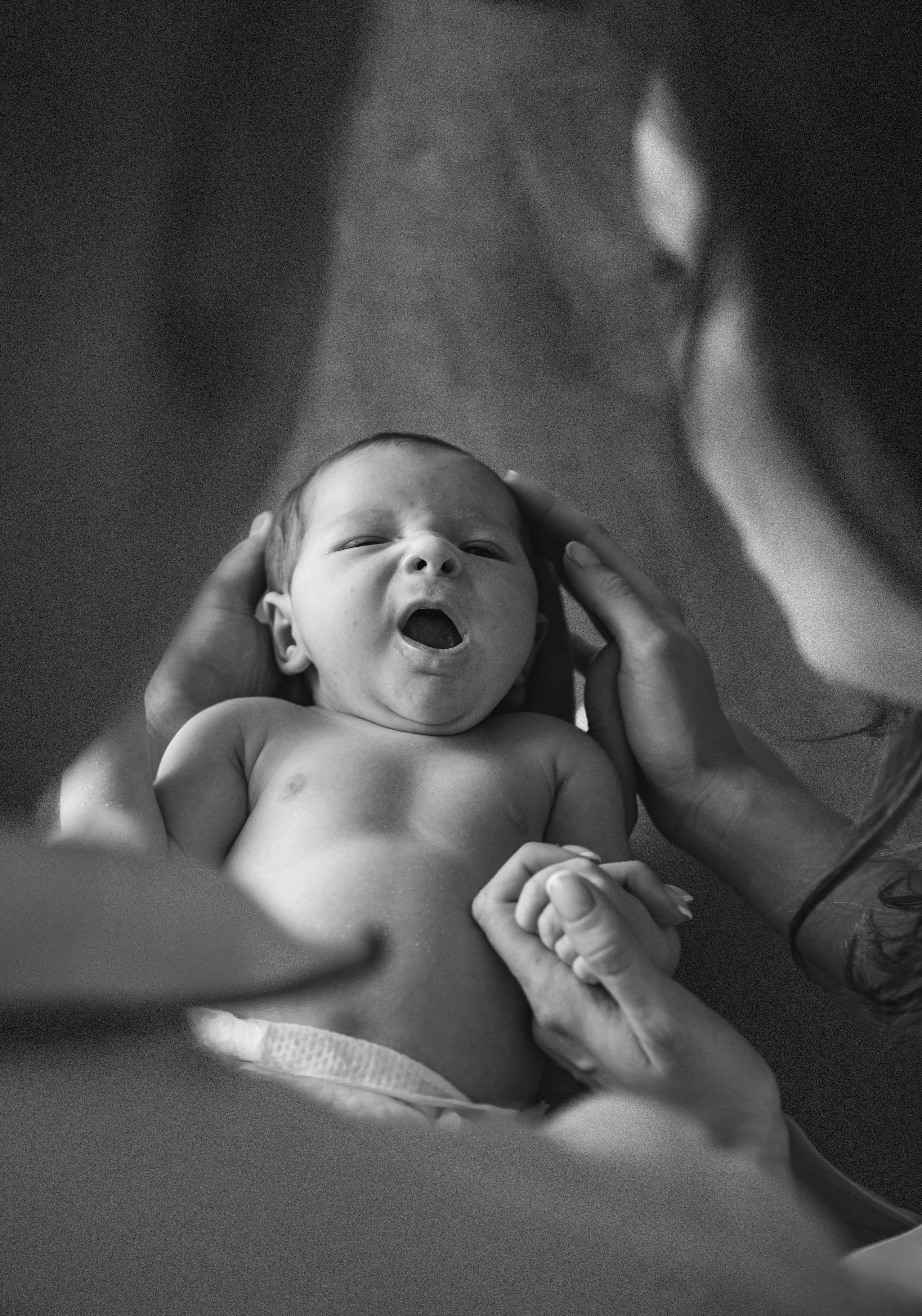 Family. Главная