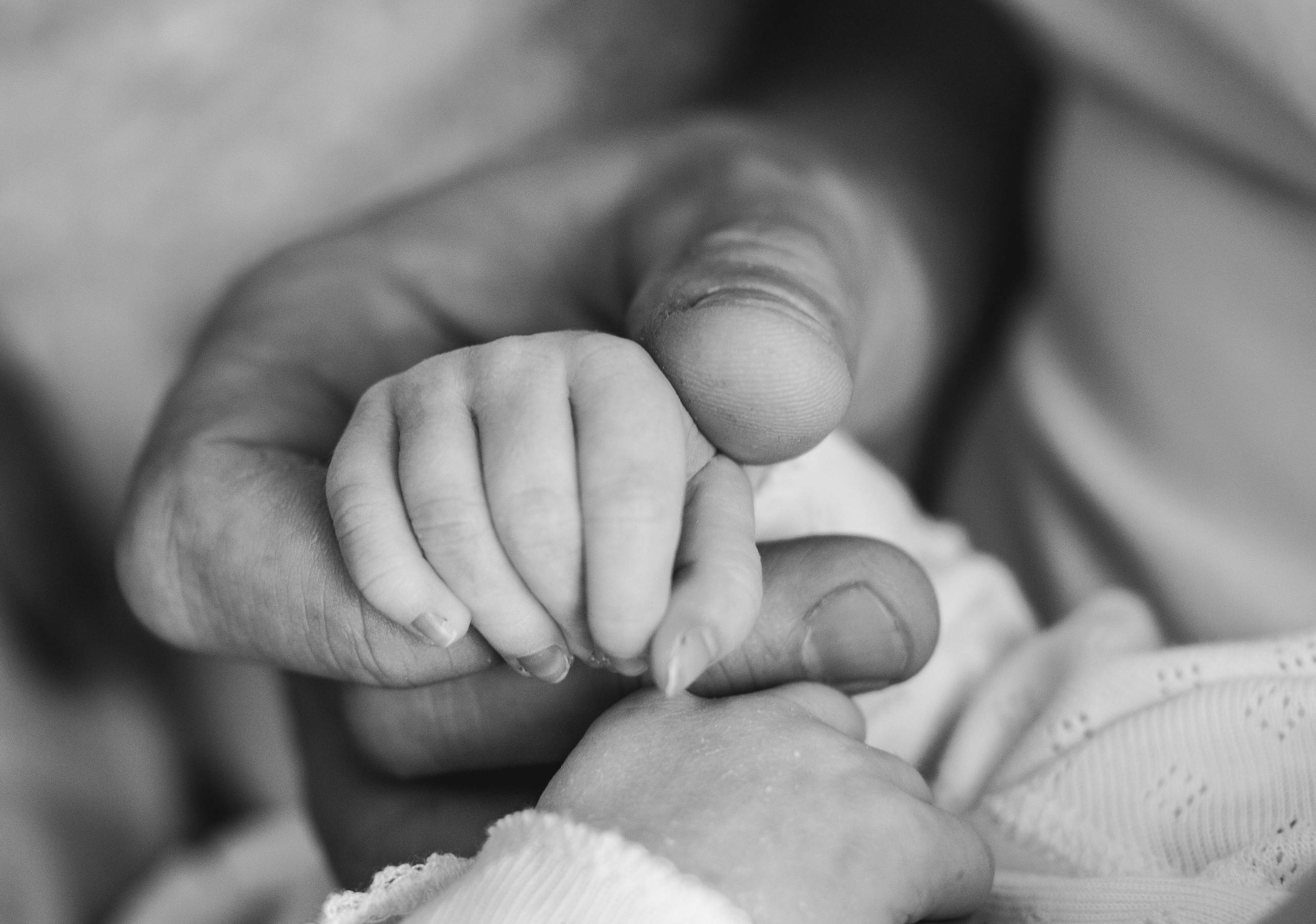 Family. Главная