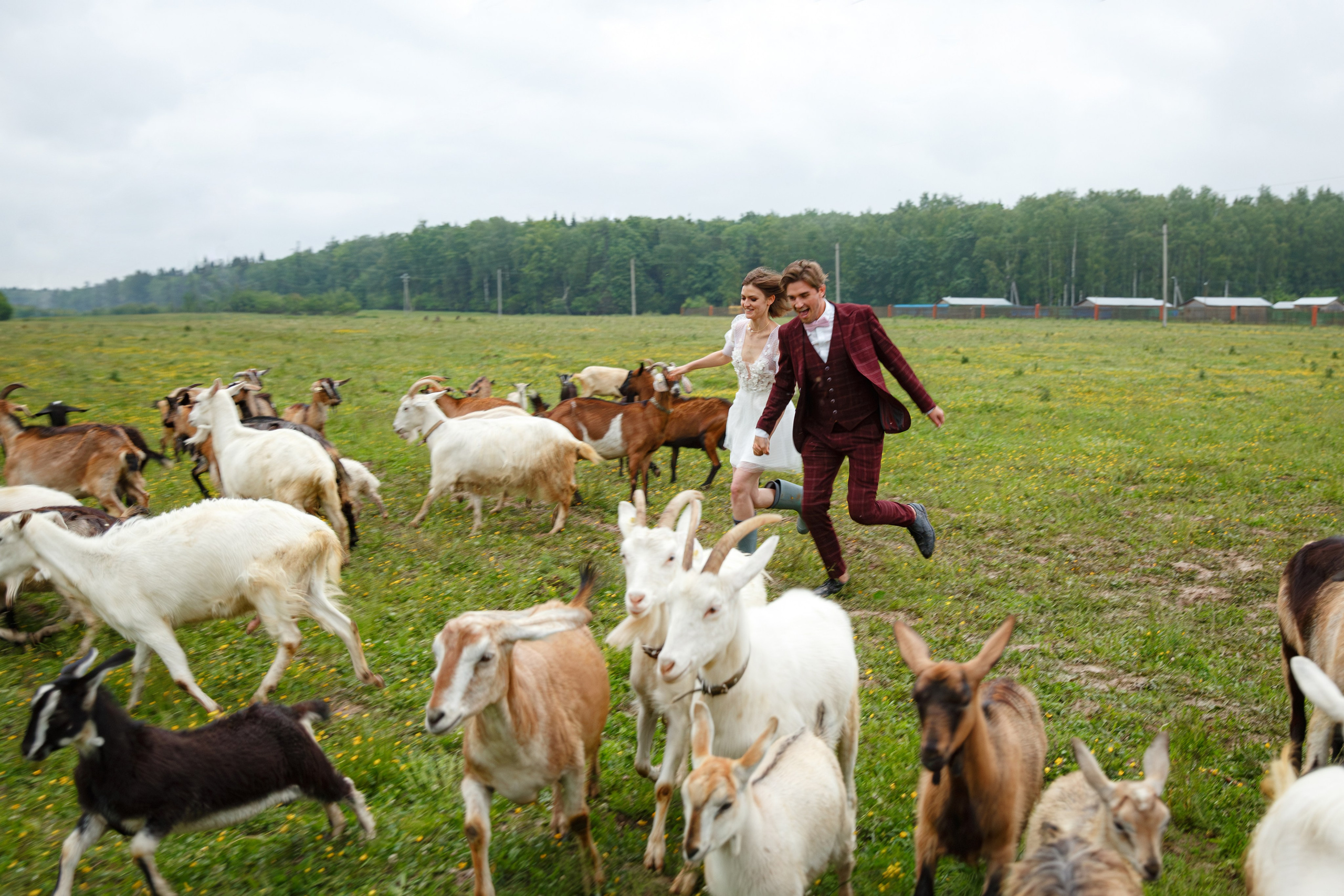 Адам и Нина (парк-отель Белые Аллеи). Свадебный фотограф Москва и МО Сергей Киржаев