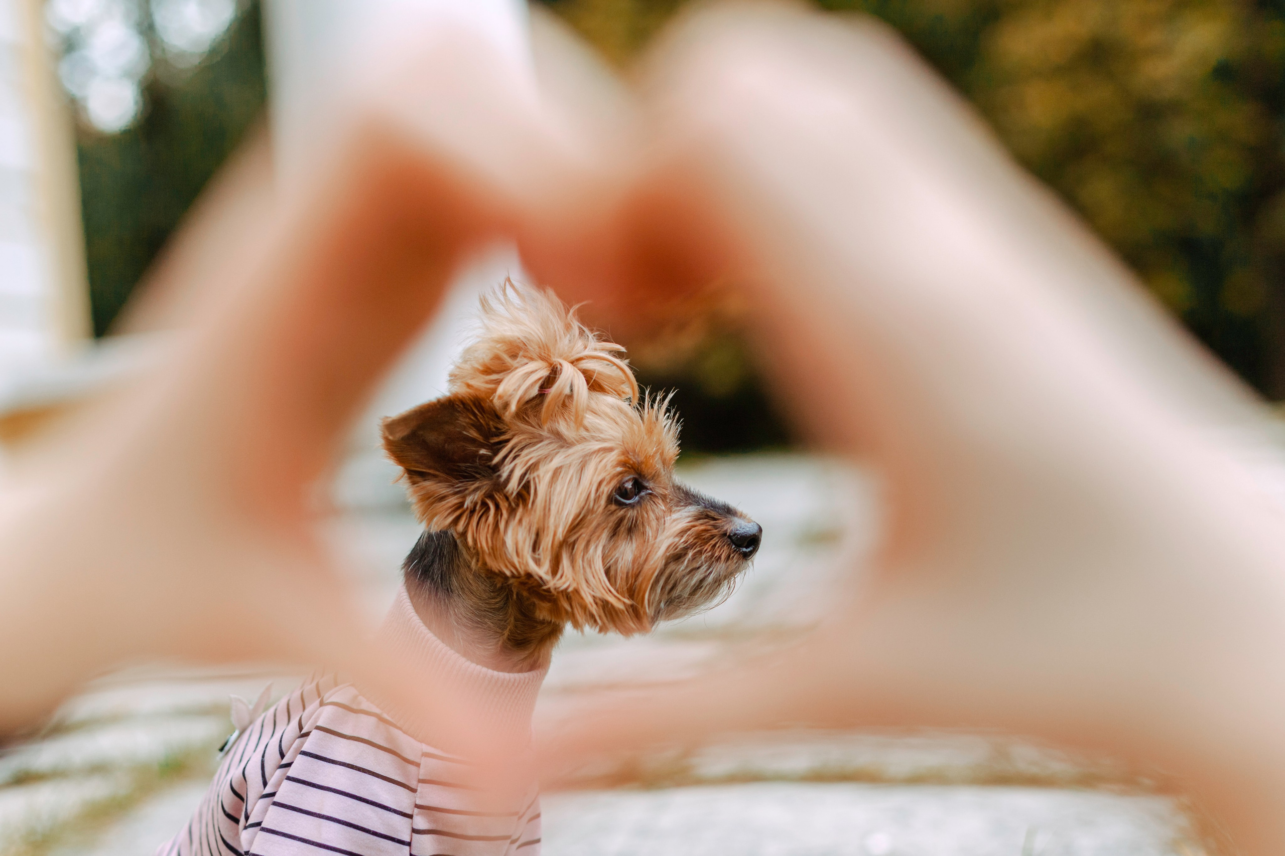 Катя и Моня. Фотограф-анималист Татьяна Степанова