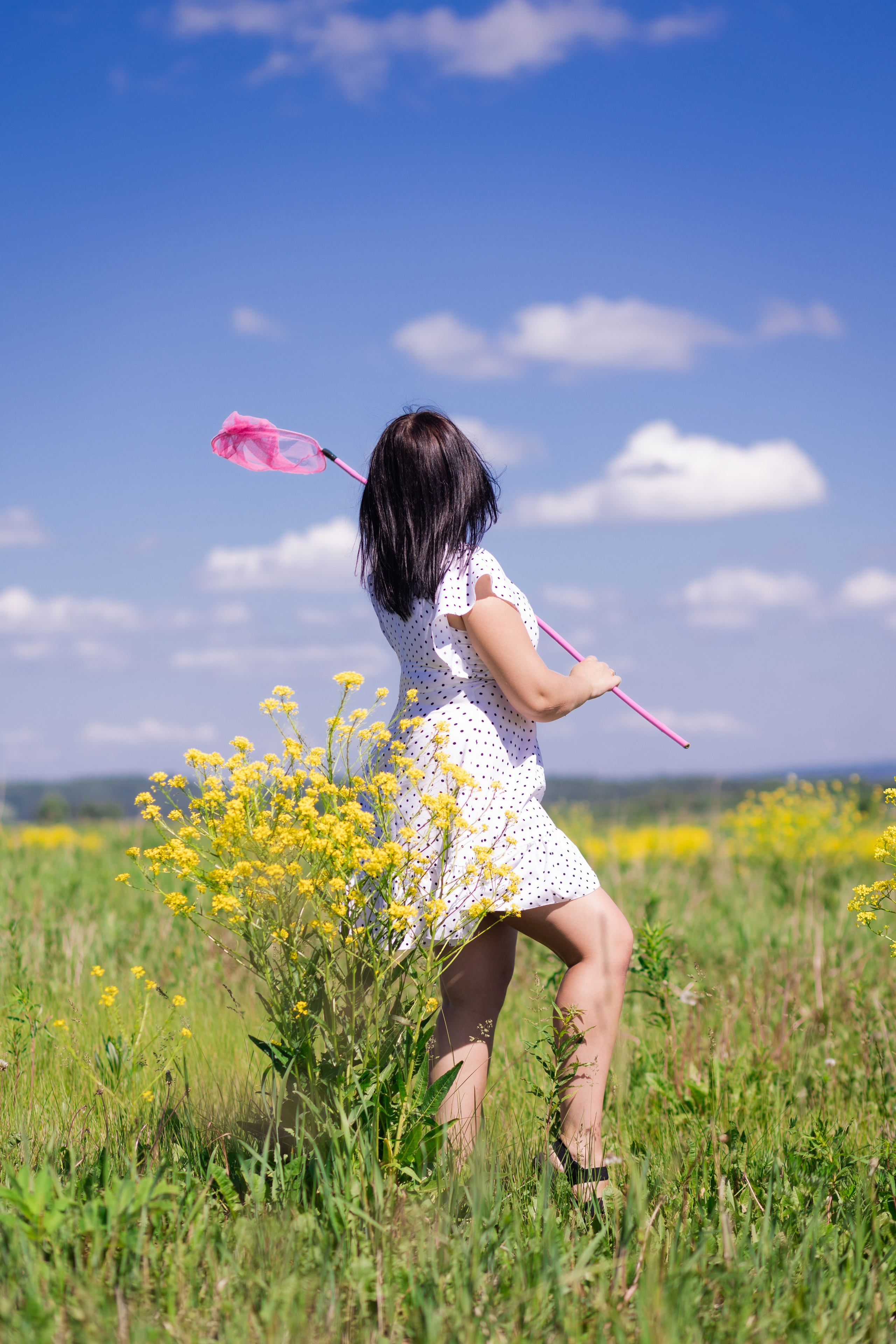 Поле. Art my Pho