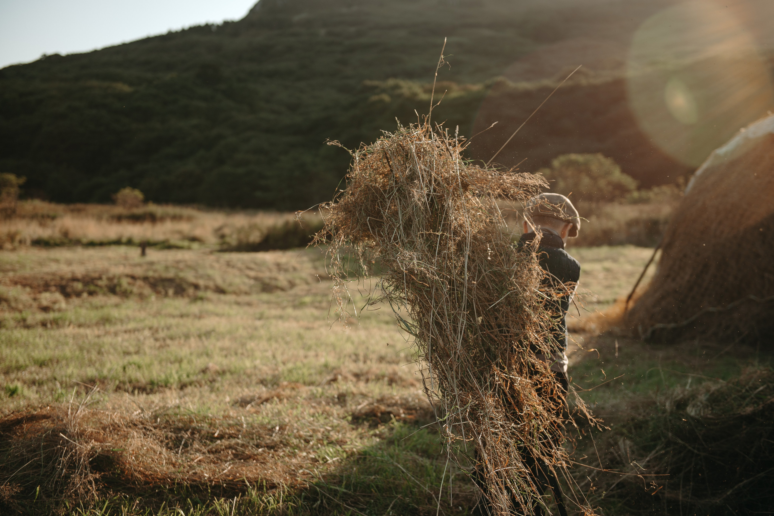 Дениска и Пелагея на сенокосе. Ирина Метелица фотограф на Шикотане