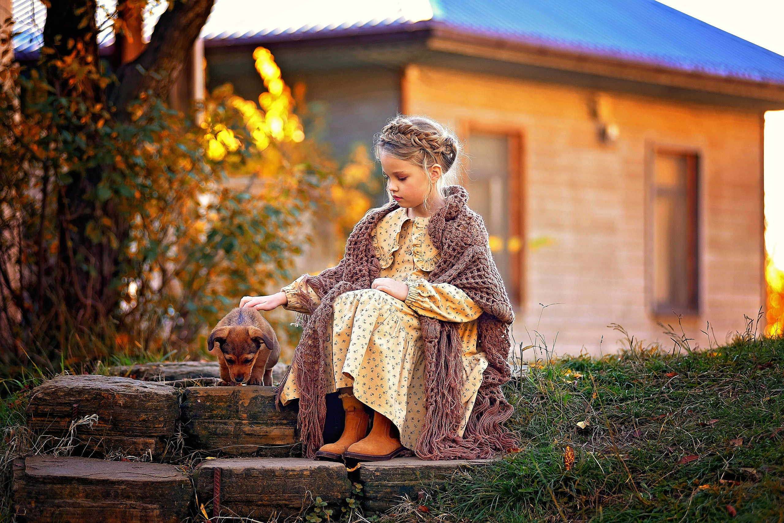 Фото проект «Конюшня». Главная