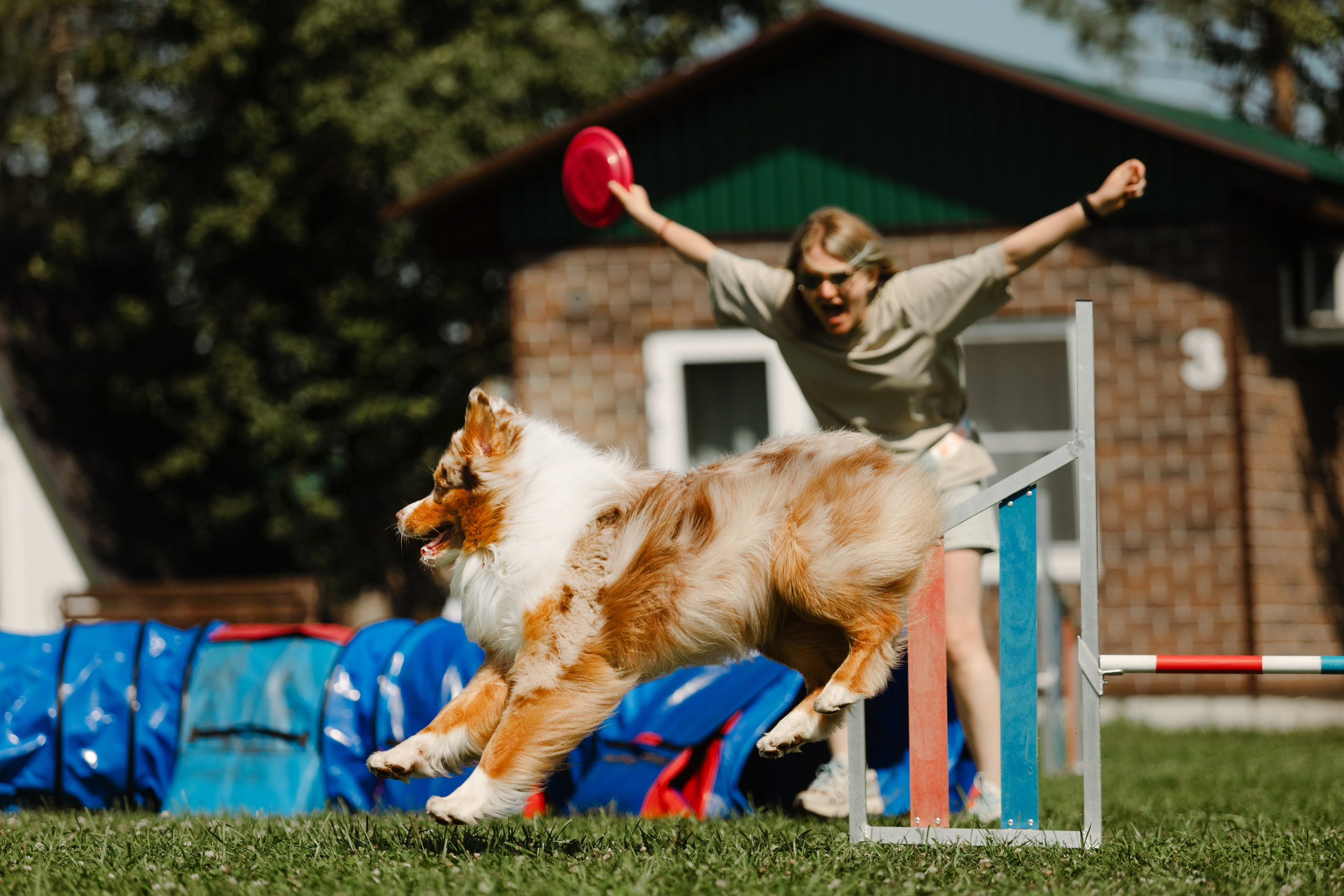 Фризби / лагерь с Ариной в Вуфпарке. Фотограф Кузина Вера