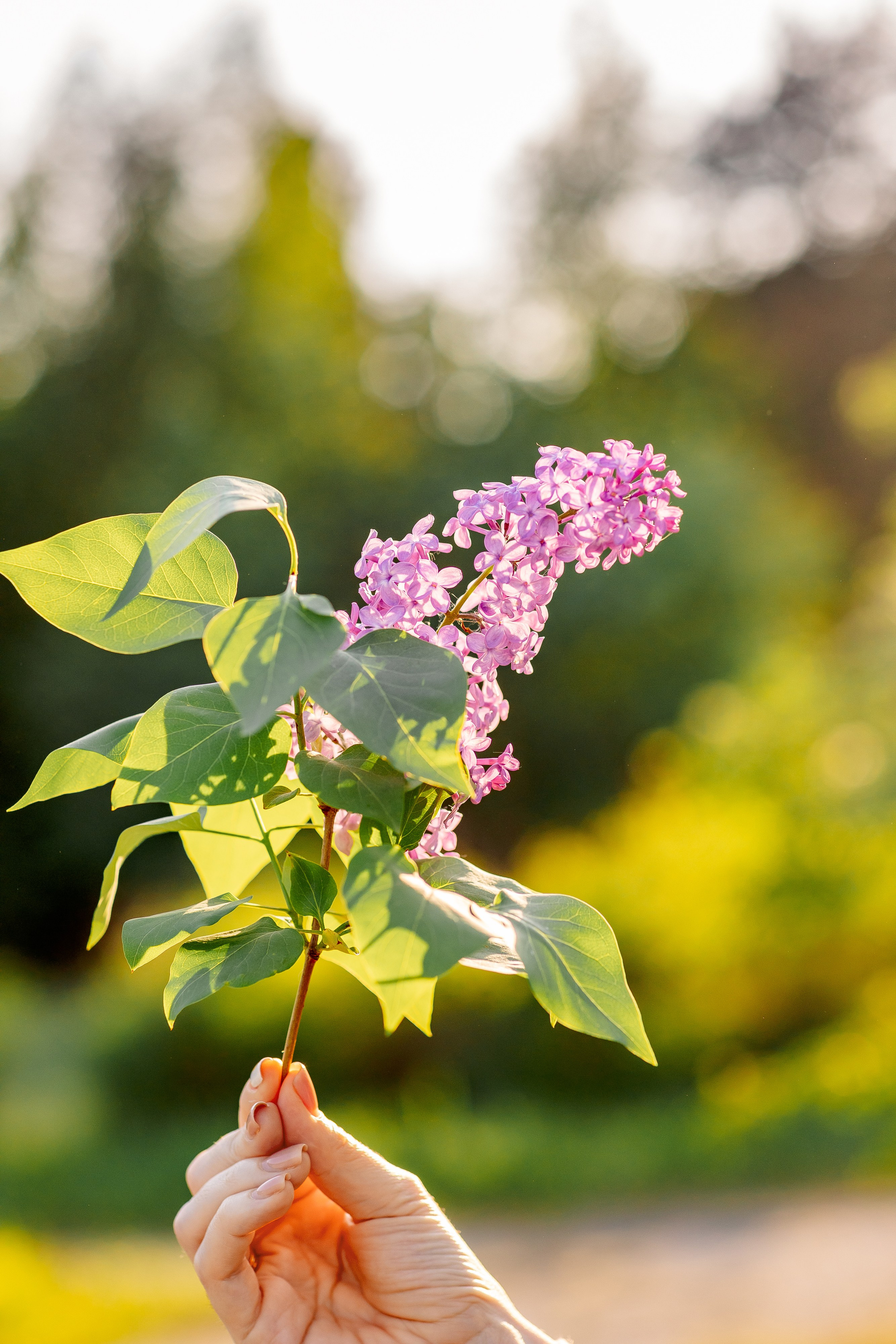 Love story. Фотограф Наталья Изюмова