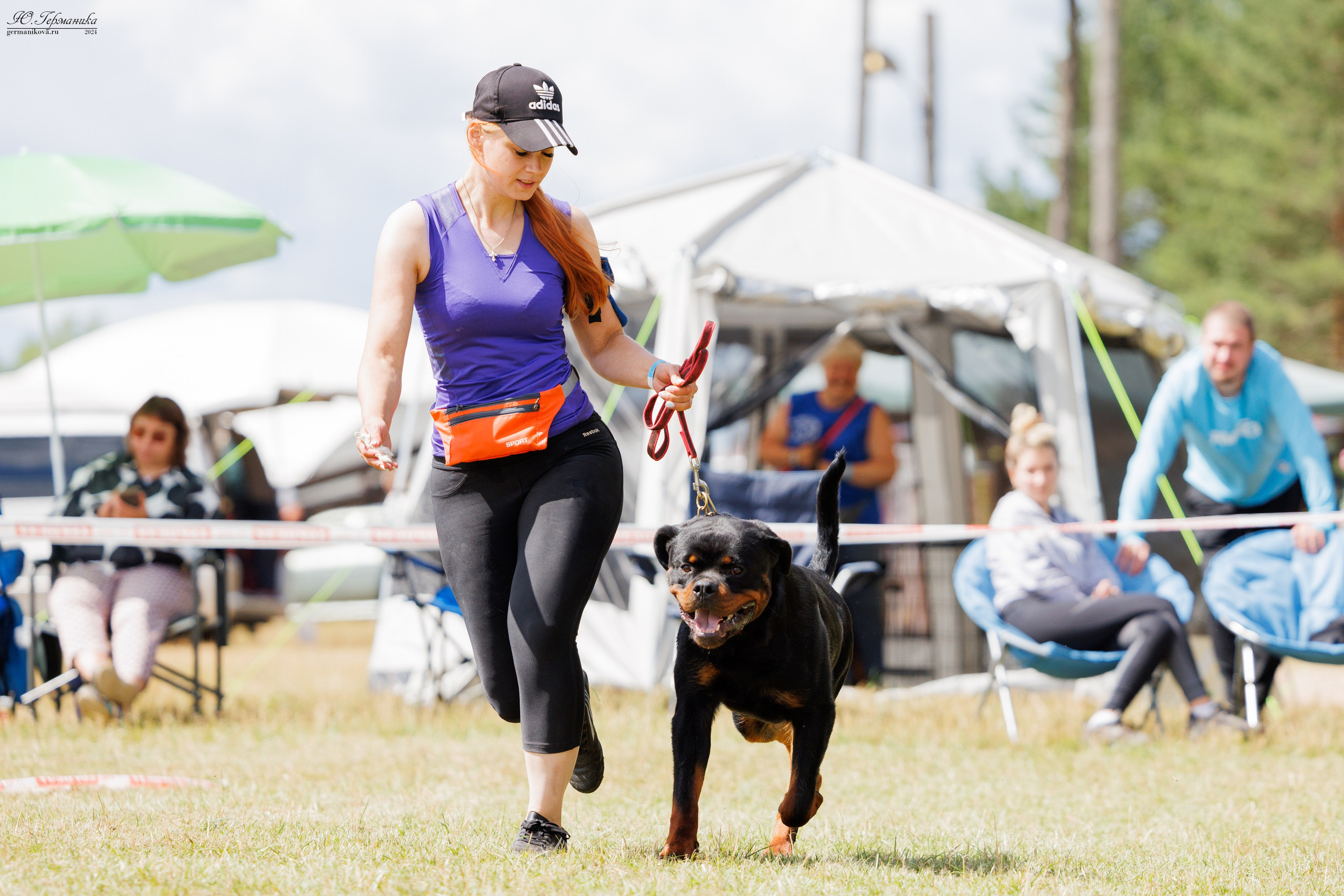 ПК и КЧК ротвейлеры Тверь 6-7.07.2024. Фотограф-анималист Юлия Германика