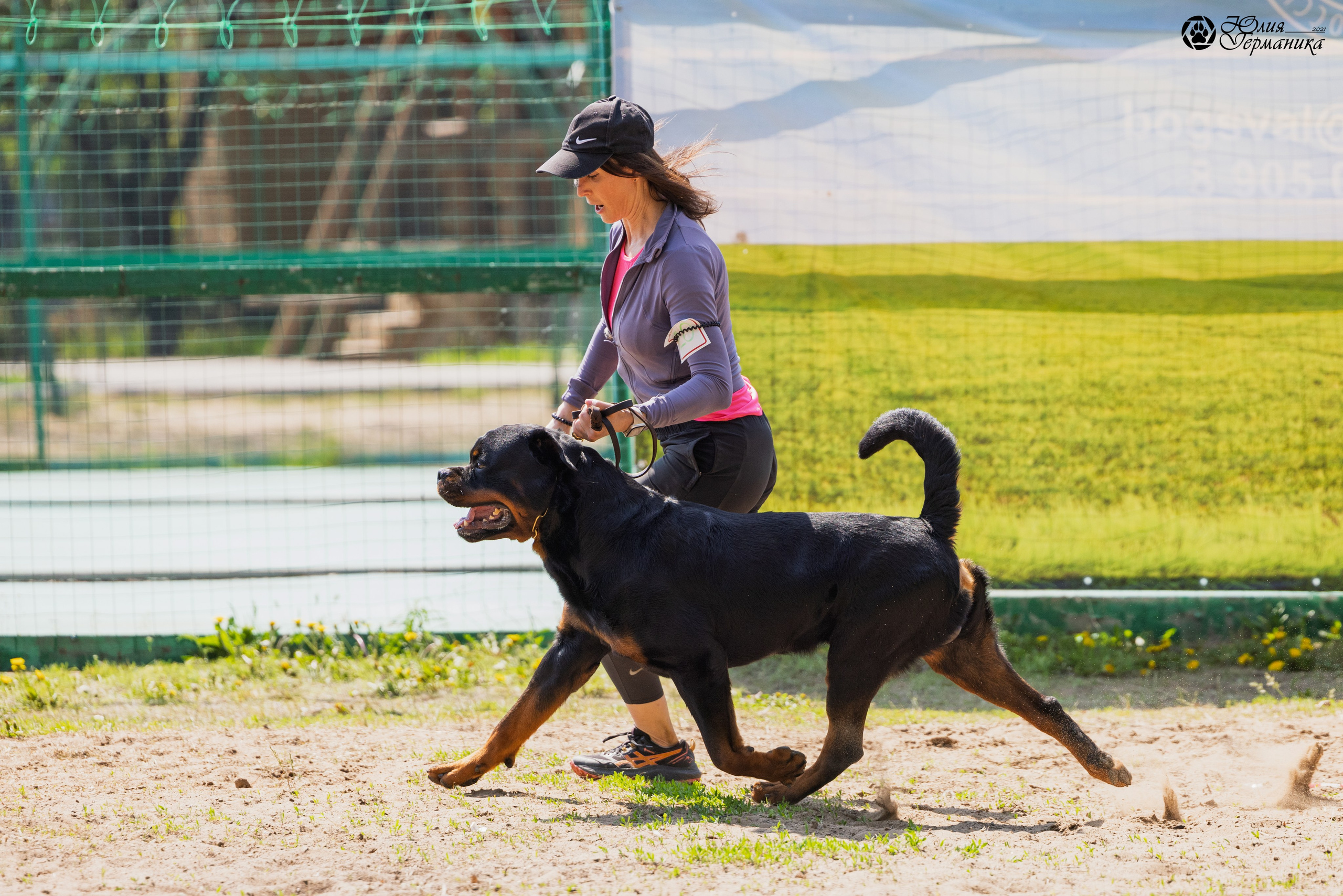 Саратов моно ротвейлеров 26-27.04.2025. Фотограф-анималист Юлия Германика