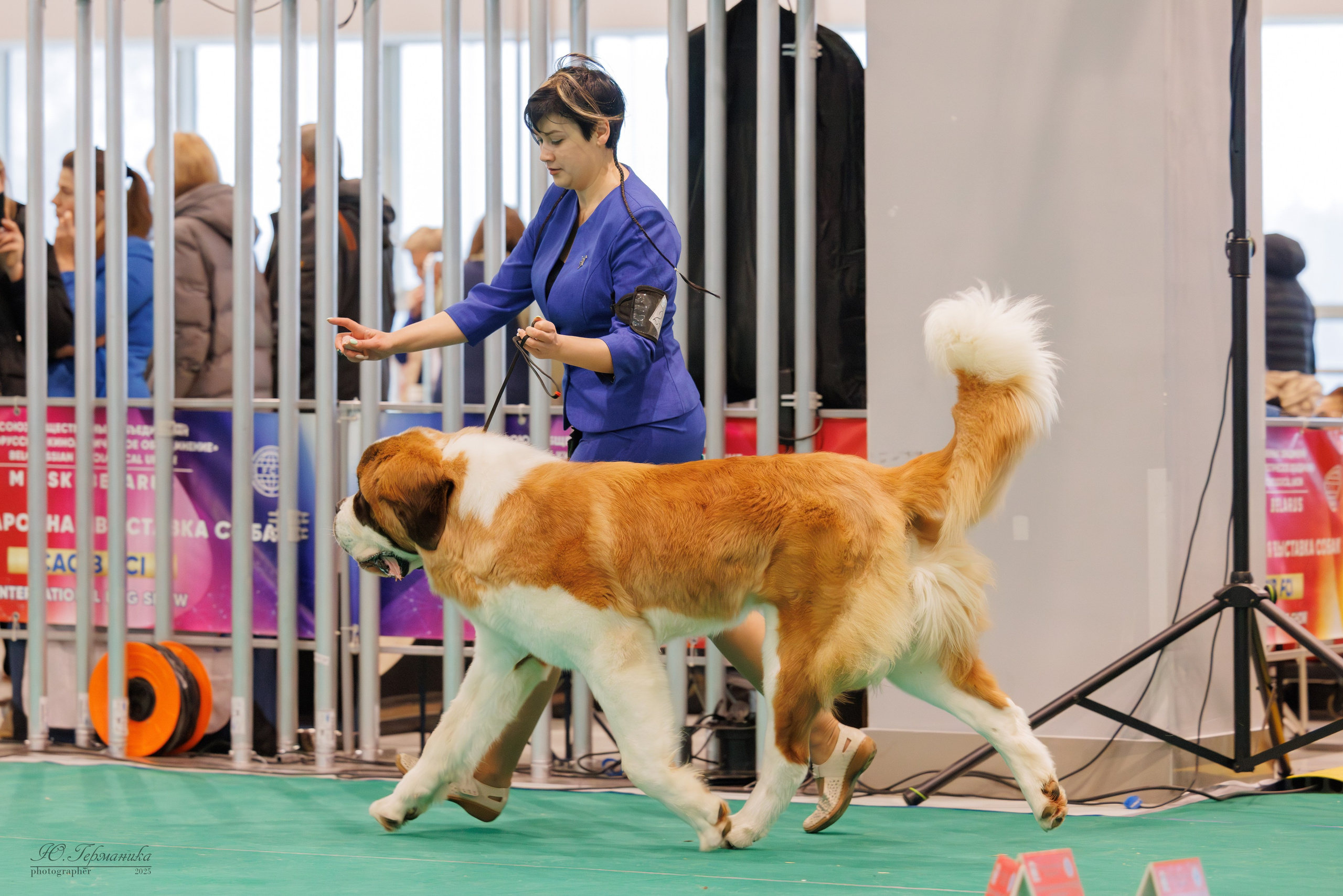 Минск 1-2.03.2025. Фотограф-анималист Юлия Германика