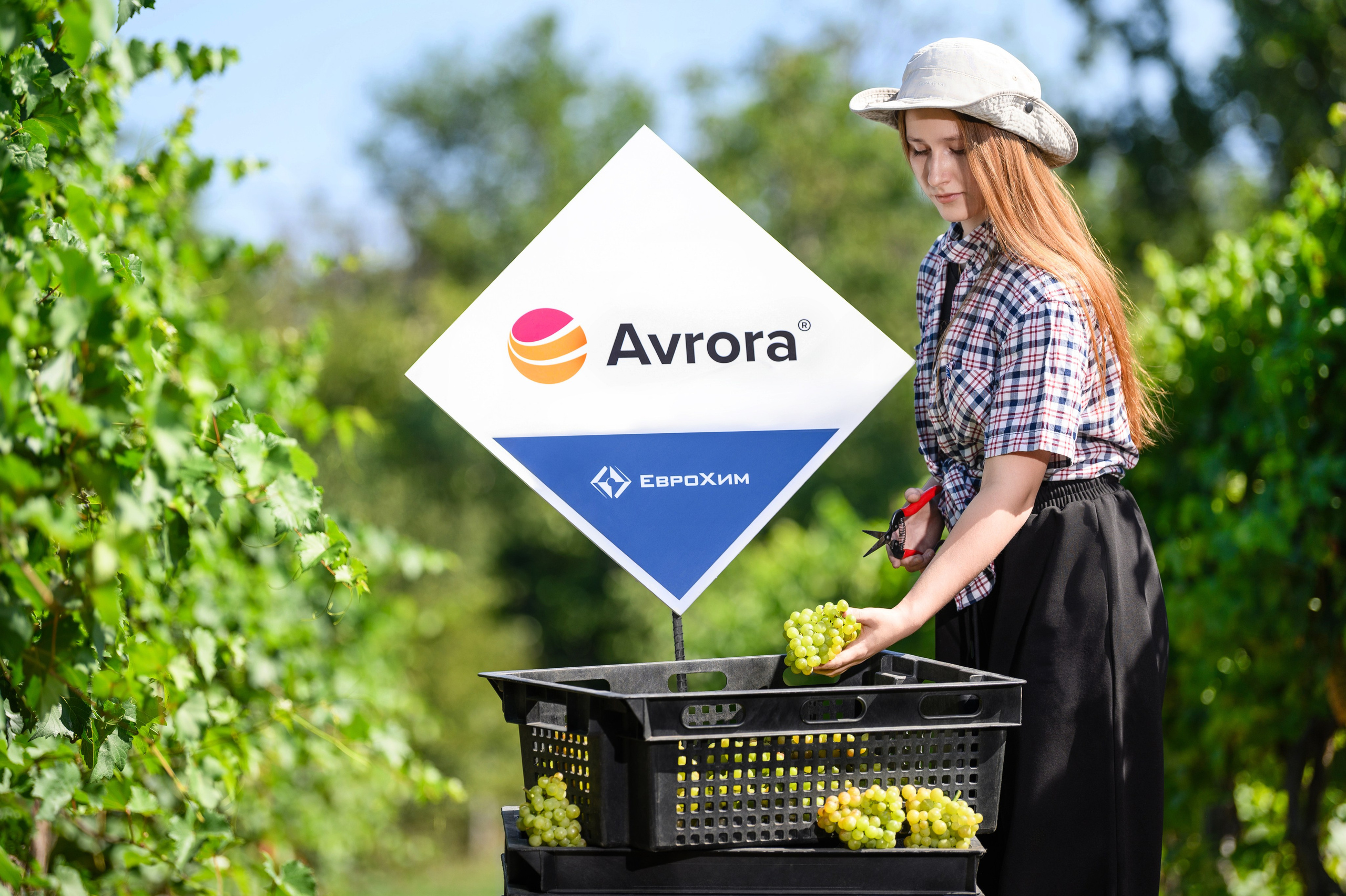 Фото в сельском хозяйстве. Профессиональный фотограф Вячеслав Плацында | Липецк |