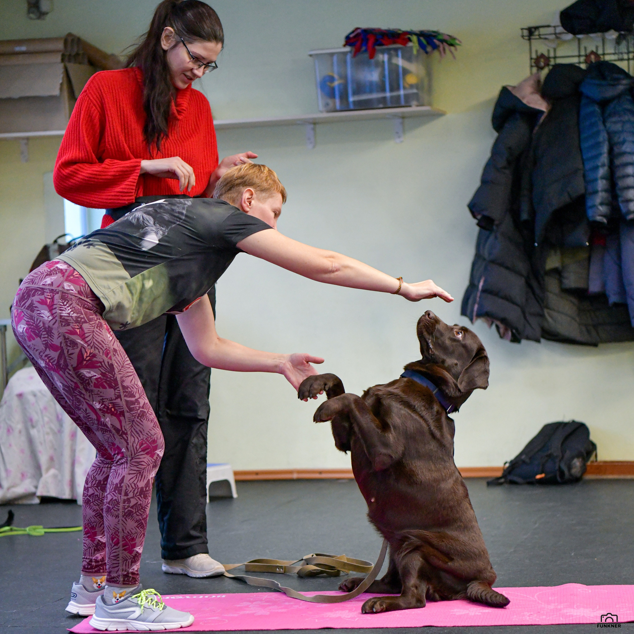 Кинологический клуб «Бодрый хвост». Свой взгляд через объектив