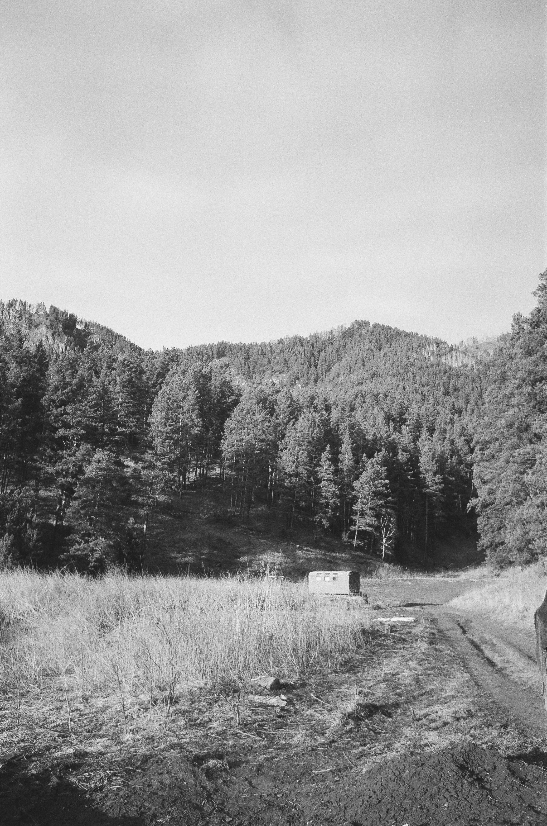 Деревня Берендеевка и кафе Лампа в верхах Алтая. Горы и поля Чемала. Фотограф-документалист Мария Осокина