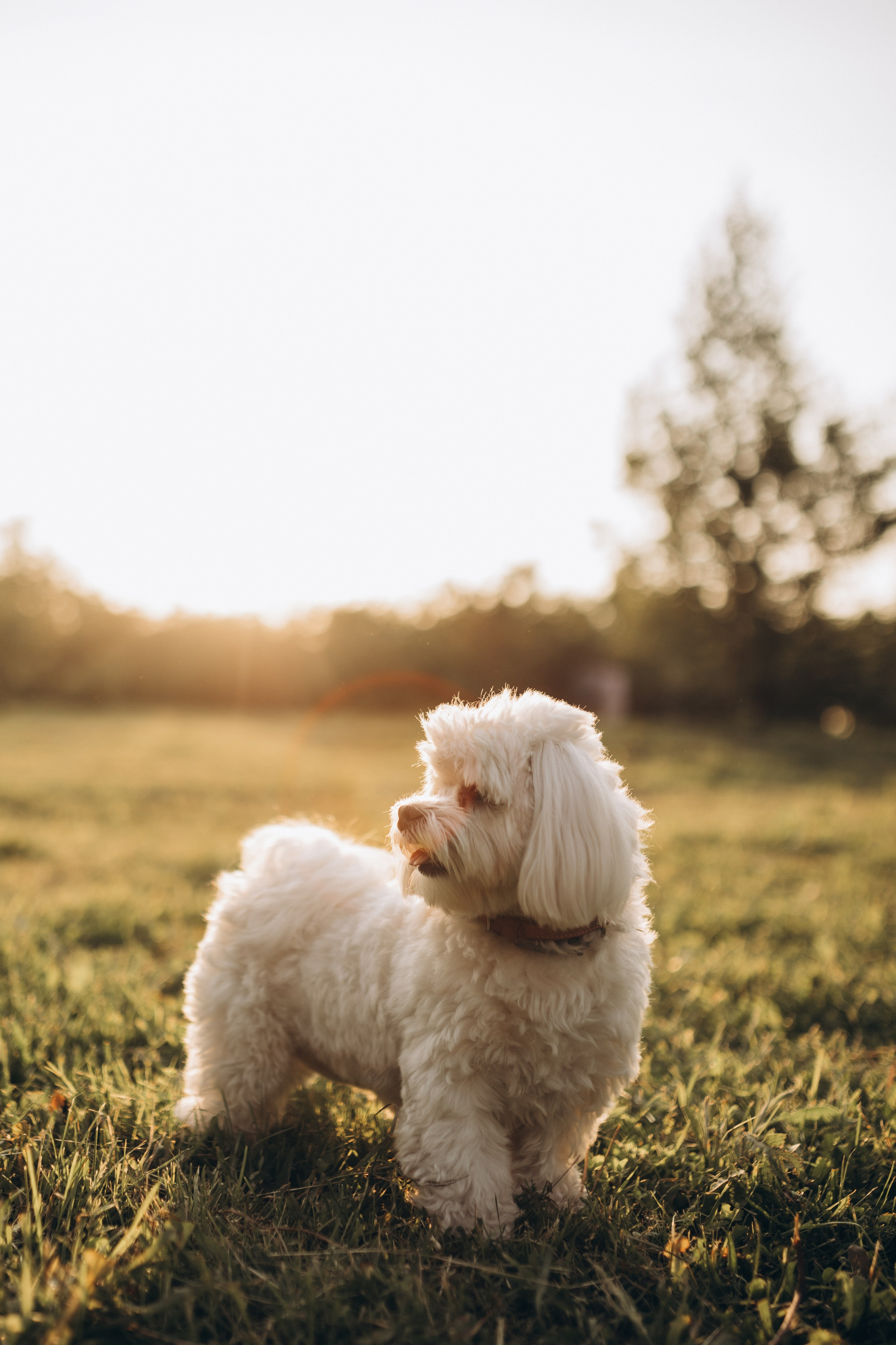 Летняя история про самое ценное 🤍. Семейный фотограф Мария Маркова Москва и Одинцово