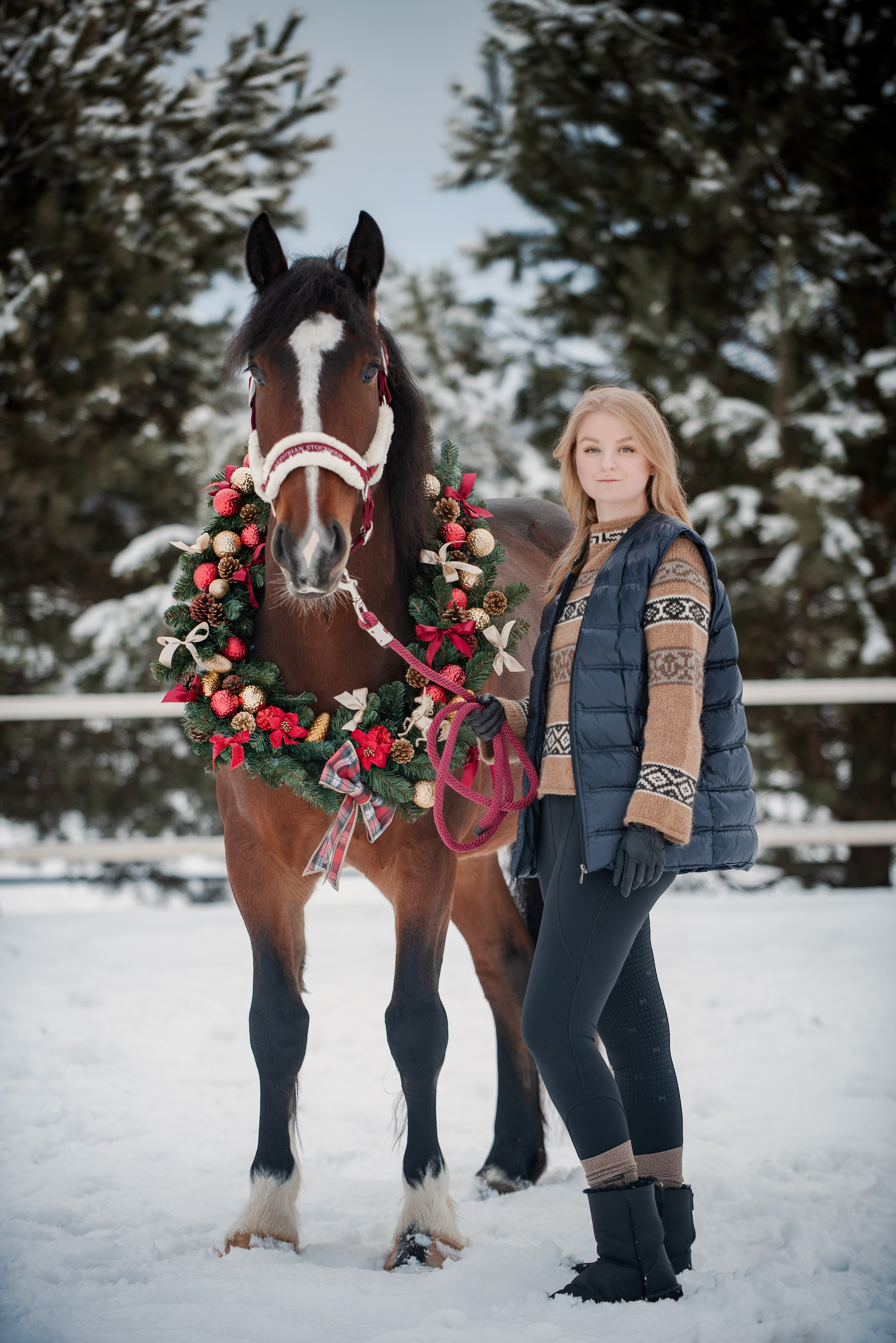 Зимний Настасьин табун. Куракина Дарья • Конный фотограф